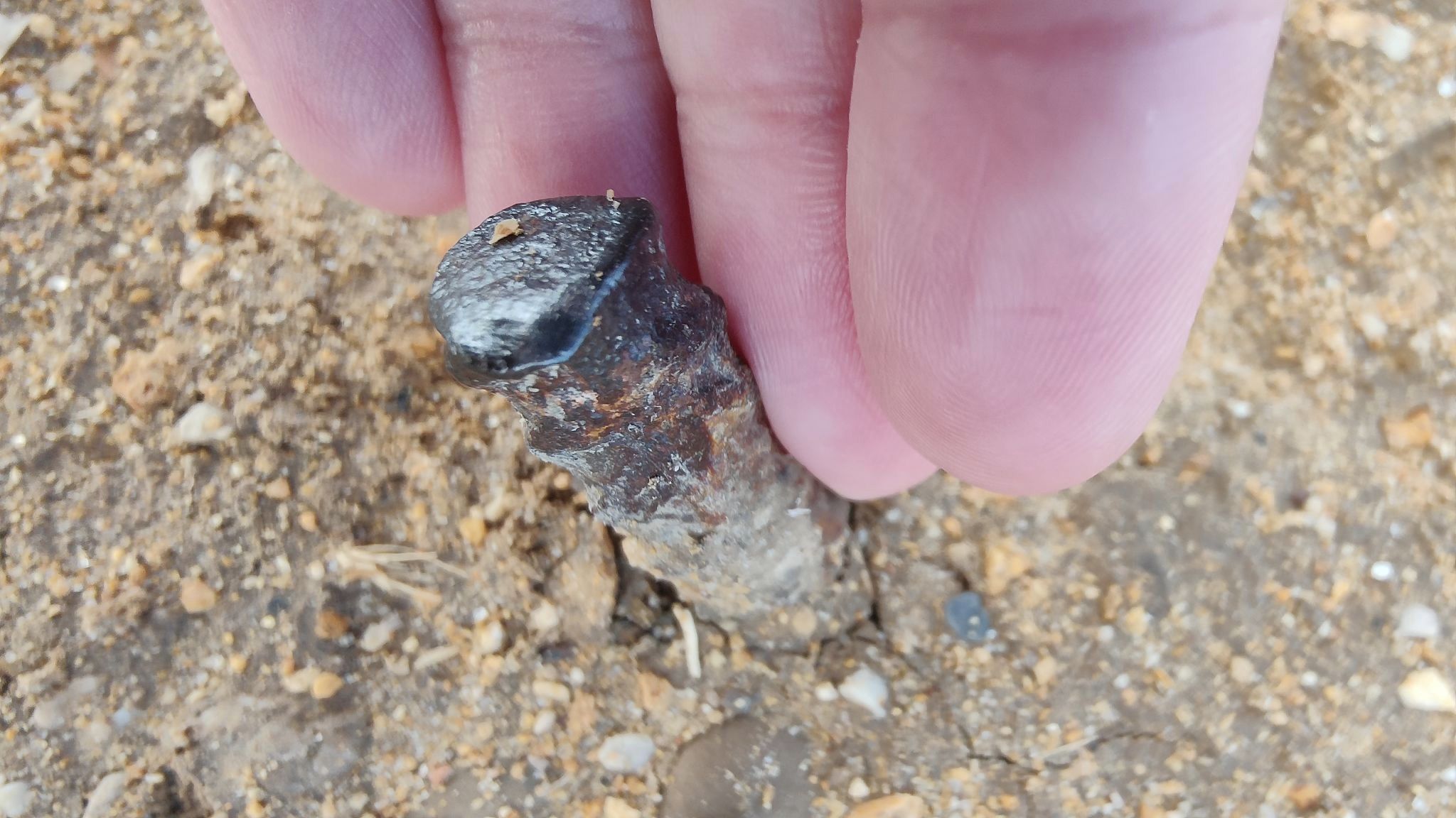 Clavos de hierro en Puerto Real.