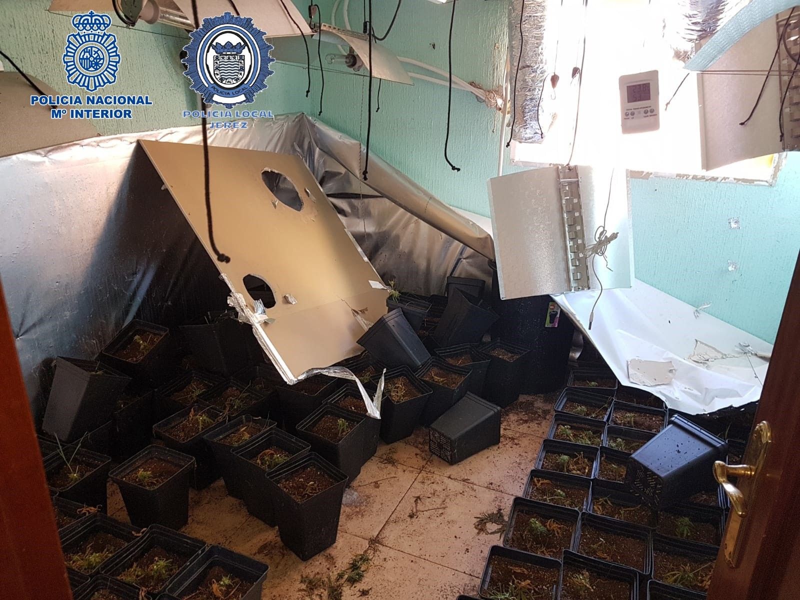 Interior del piso incendiado con la plantación de marihuana.