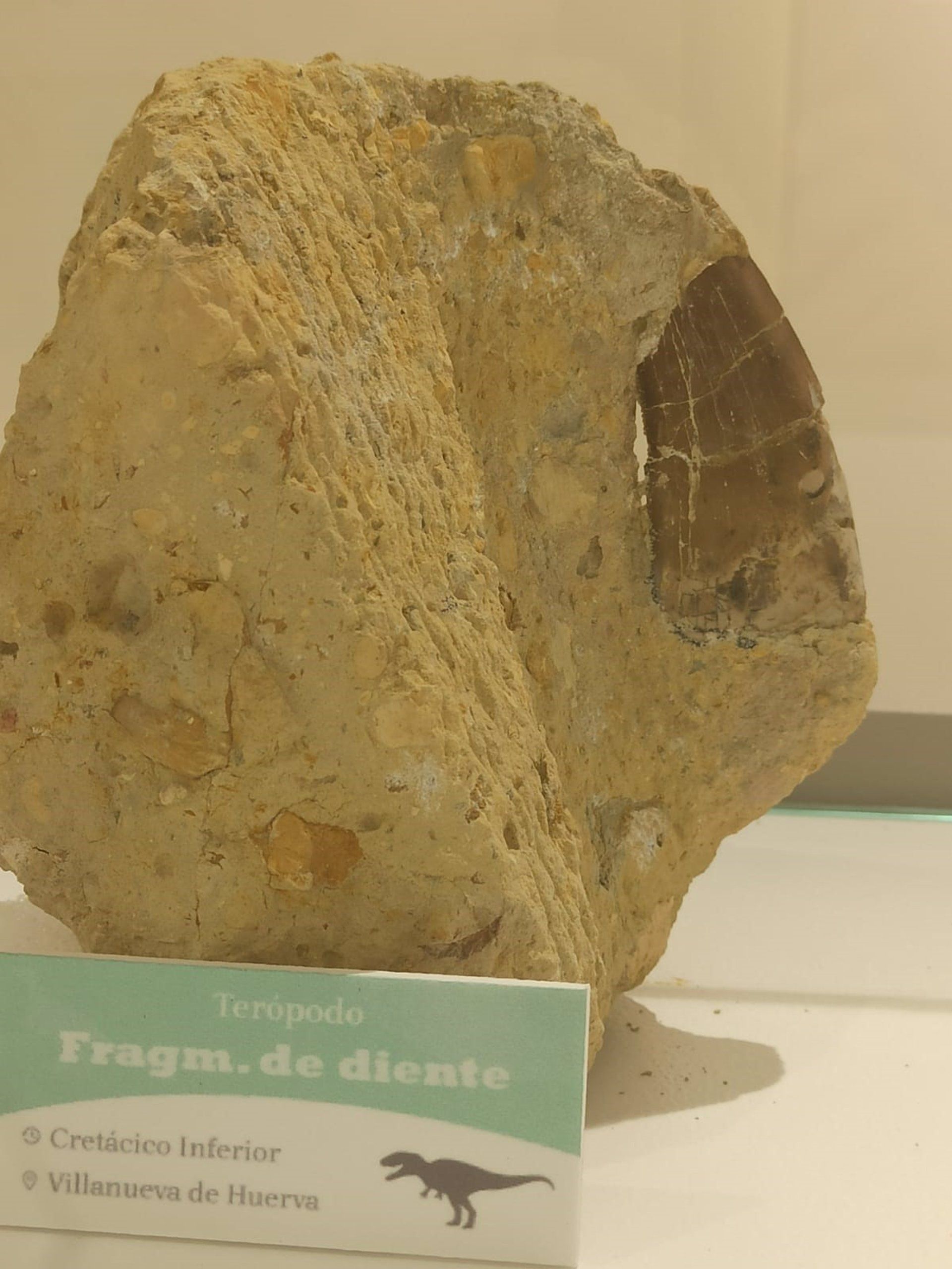 fotonoticia 20220922090615 1920