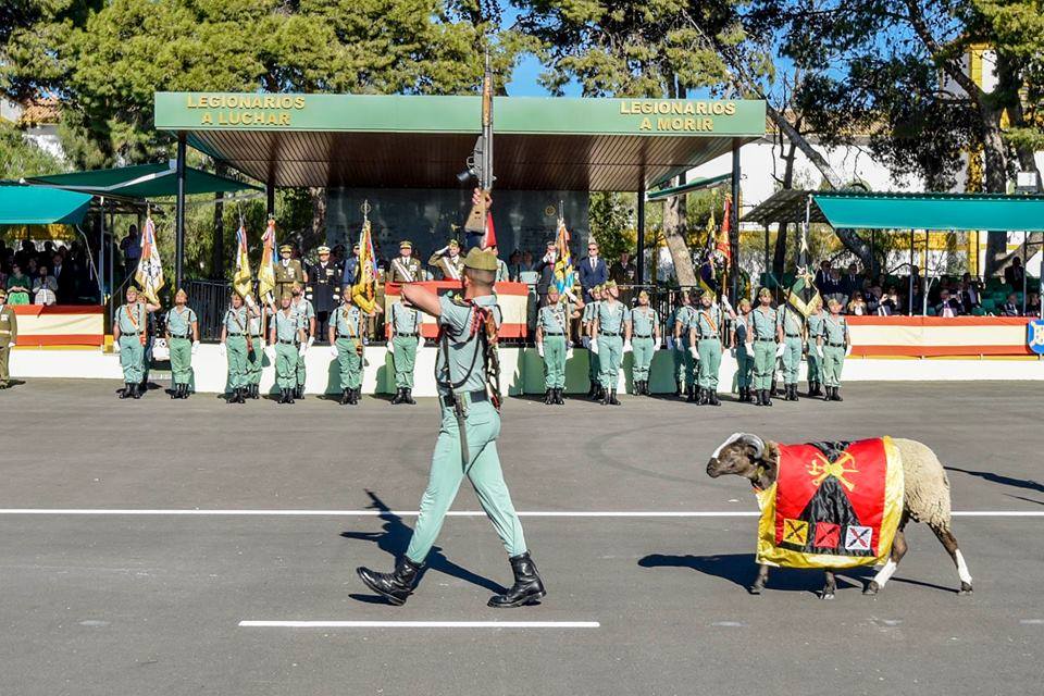 Un desfile militar de la Legión, en una imagen de archivo. FOTO: TERCIO DE LA LEGIÓN JUAN DE AUSTRIA.