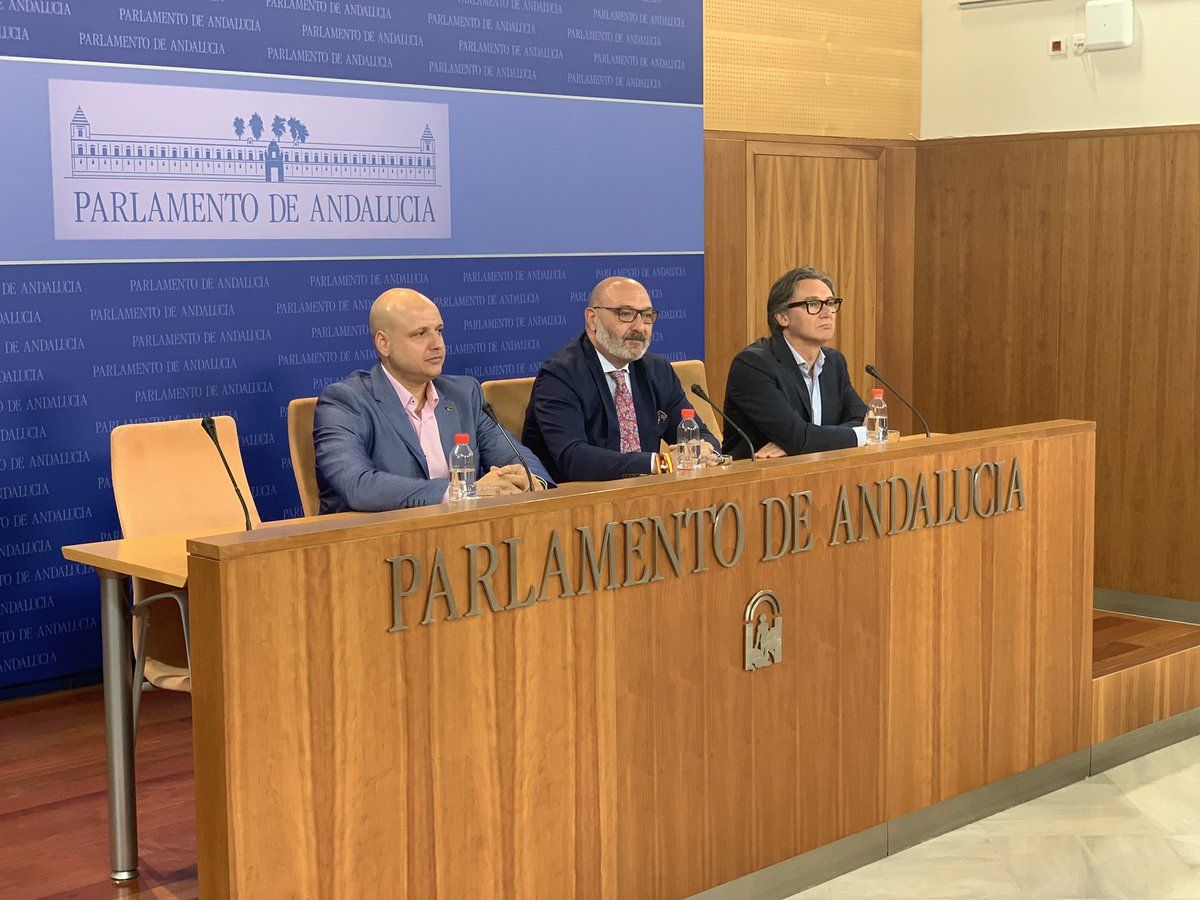 Rueda de prensa de Vox en el Parlamento andaluz.