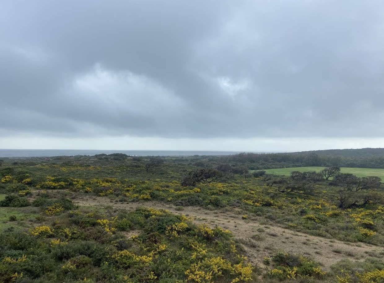 Interior de la finca Borondo, donde se pretende construir 264 cabañas de lujo.