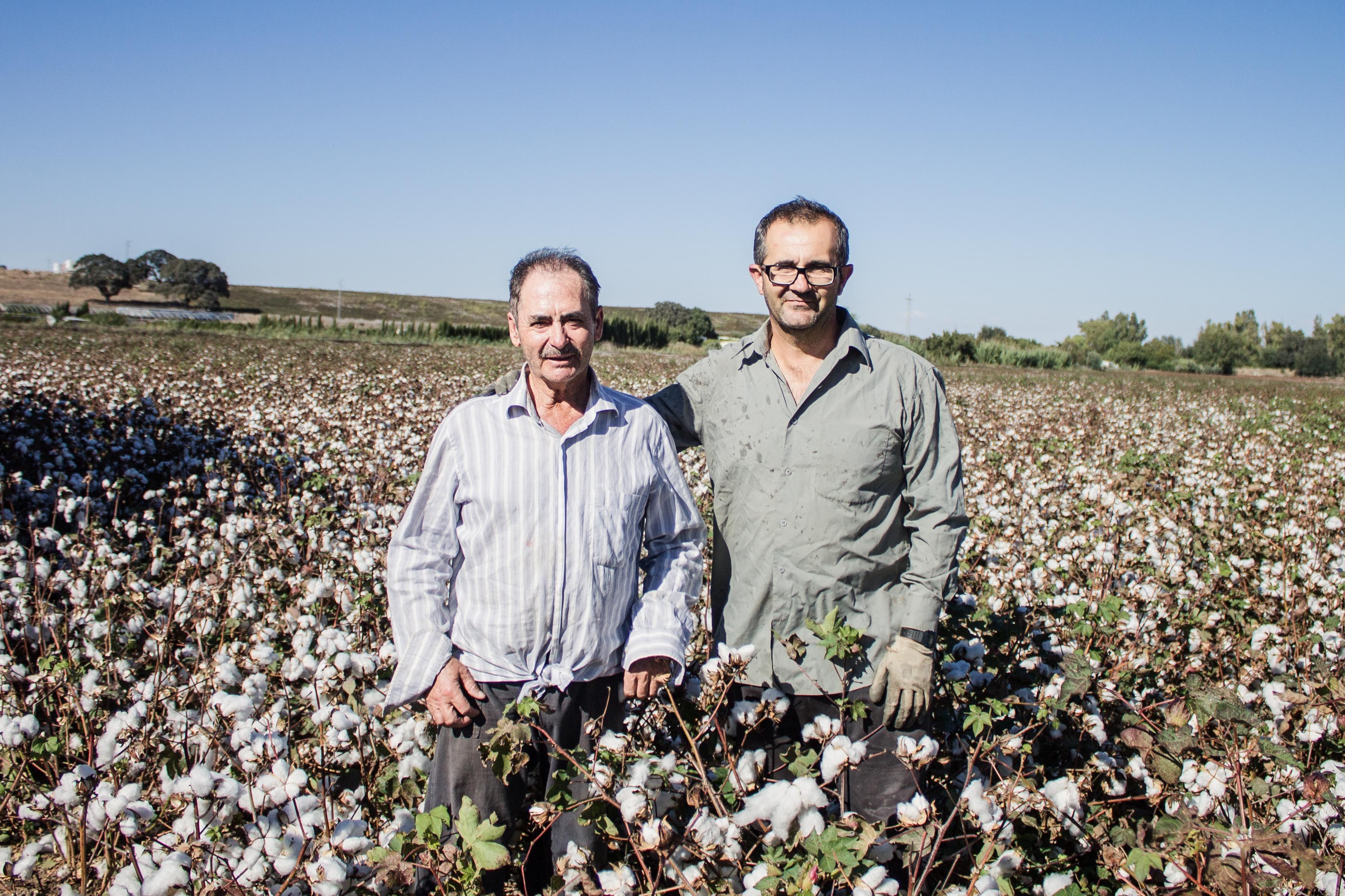 Los compañeros Esteban y Pepe posan entre las plantas de algodón.