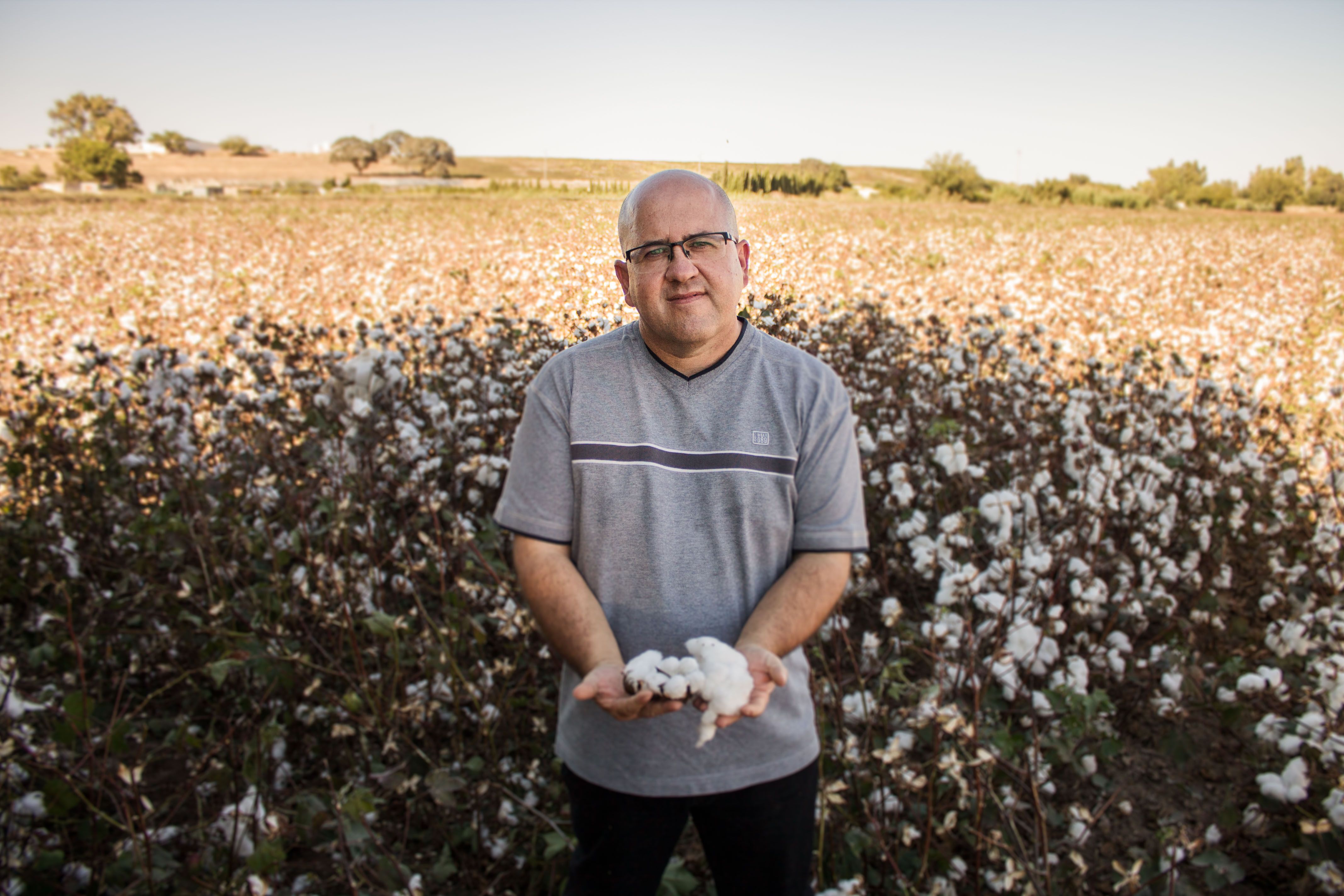 José Luis Ibáñez, responsable del cultivo del algodón de COAG en Andalucía.