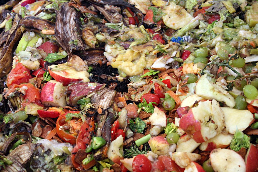 Guerra contra el desperdicio. La FAO dice que se desperdicia el 30% de los alimentos. © FAO/Jonathan BloomLa FAO dice que se desperdicia el 30% de los alimentos. © FAO/Jonathan BloomLa FAO dice que se desperdicia el 30% de los alimentos. © FAO/Jonathan Bloom