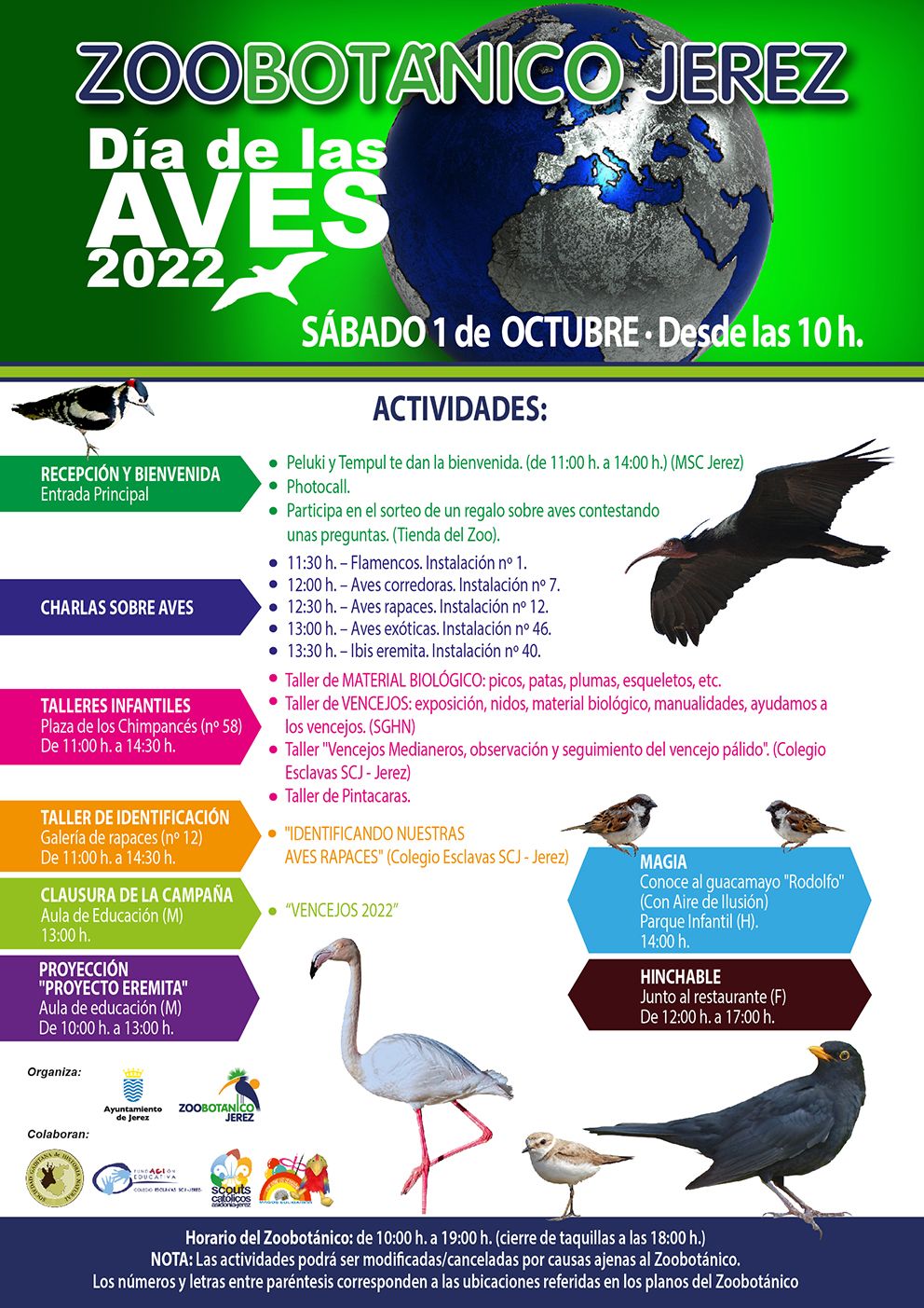 planning zoo dia de las aves