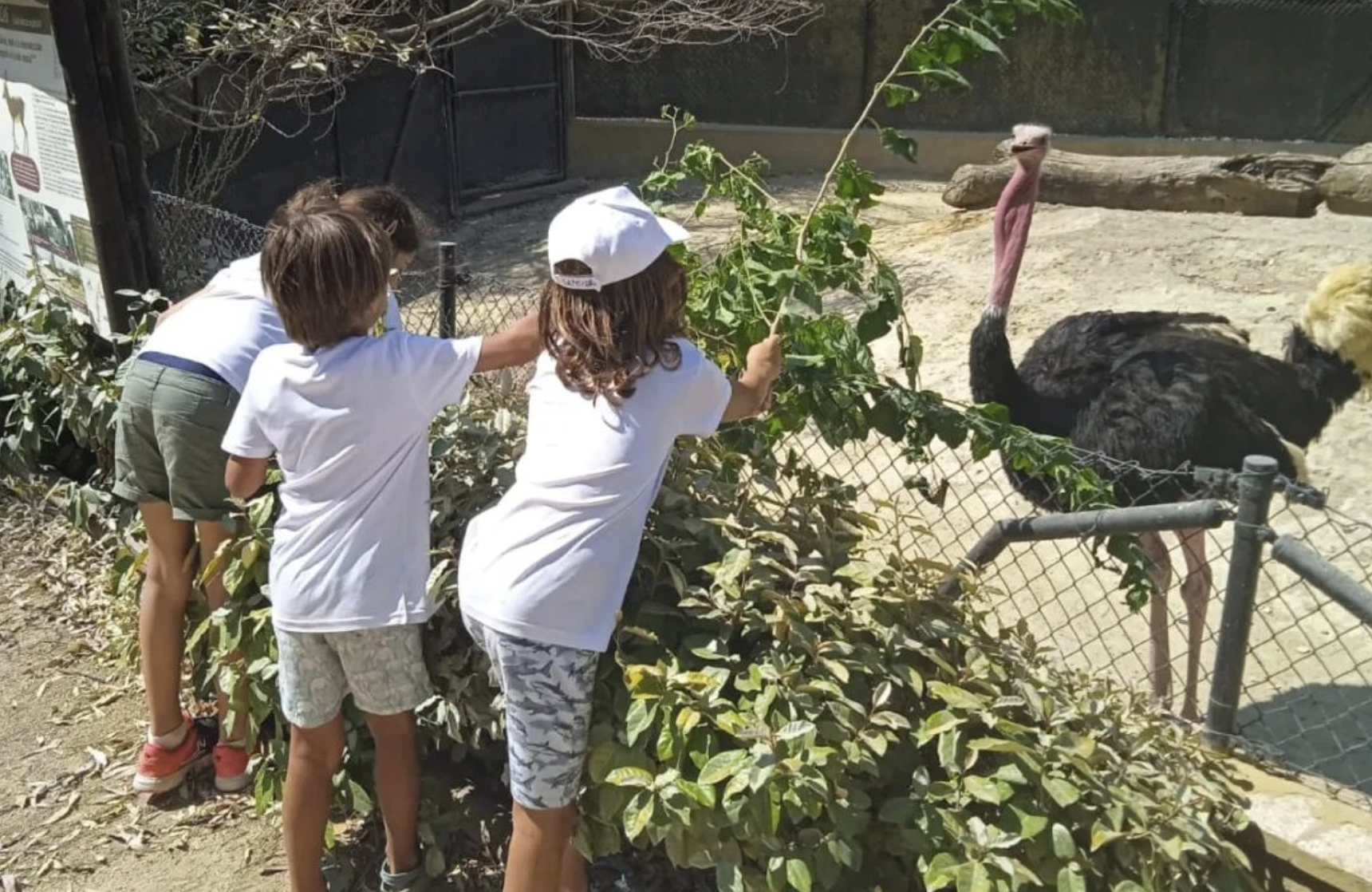 El Zoo de Jerez celebra el día mundial de las aves el próximo sábado 1 de octubre con actividades para toda la familia.