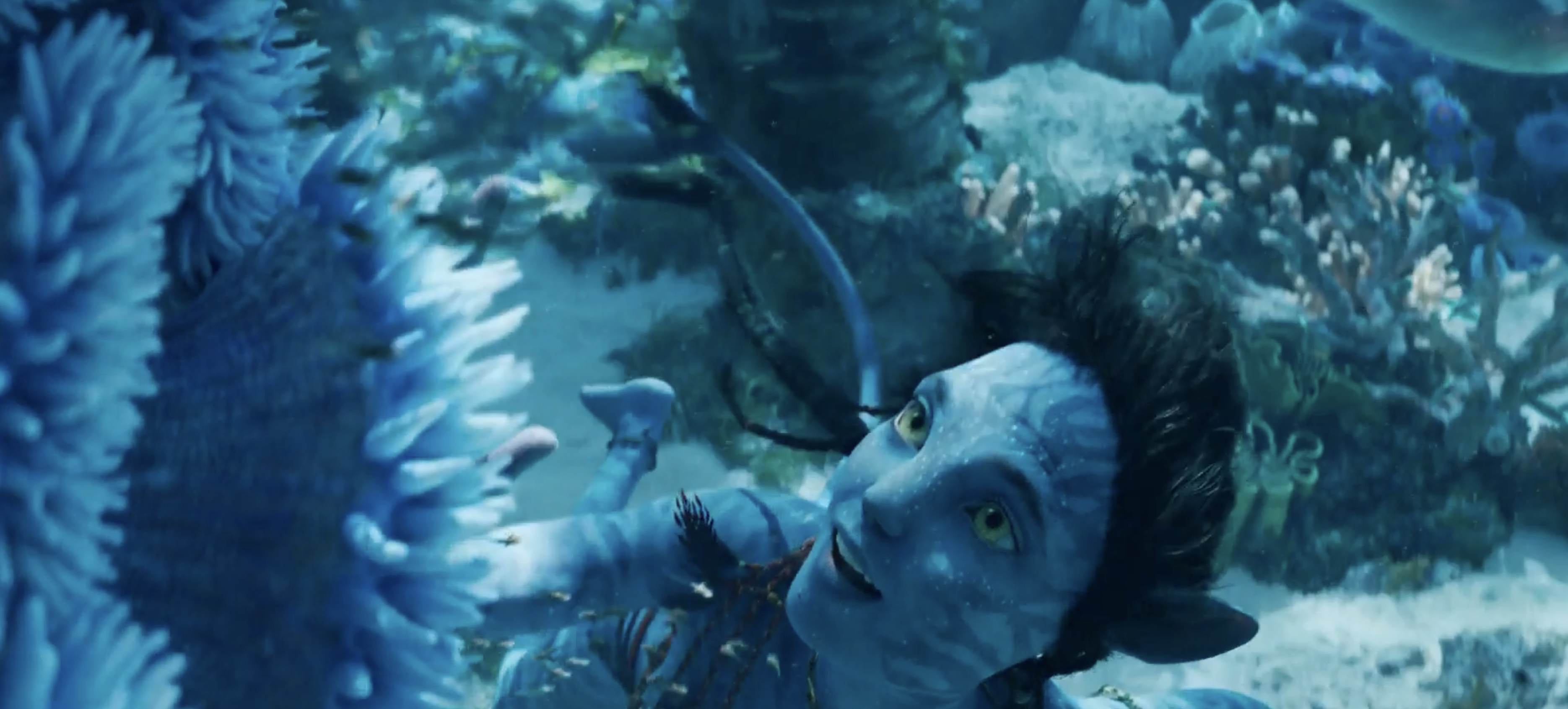 Un fotograma del trailer de la película 'Avatar', uno de los estrenos de la semana.