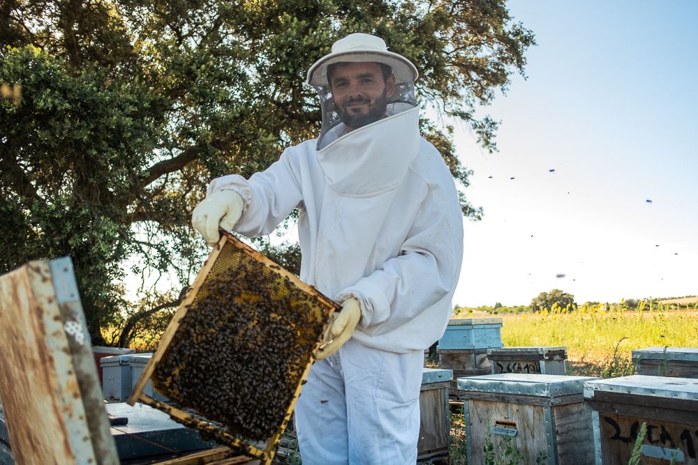 El jerezano Álvaro, apicultor ecológico y rescatador de abejas, con un panal de una de sus colmenas. FOTO: MANU GARCÍA. 