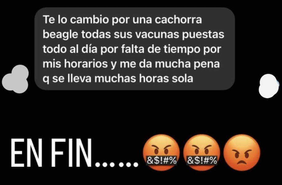 Mensaje recibido por el joven.