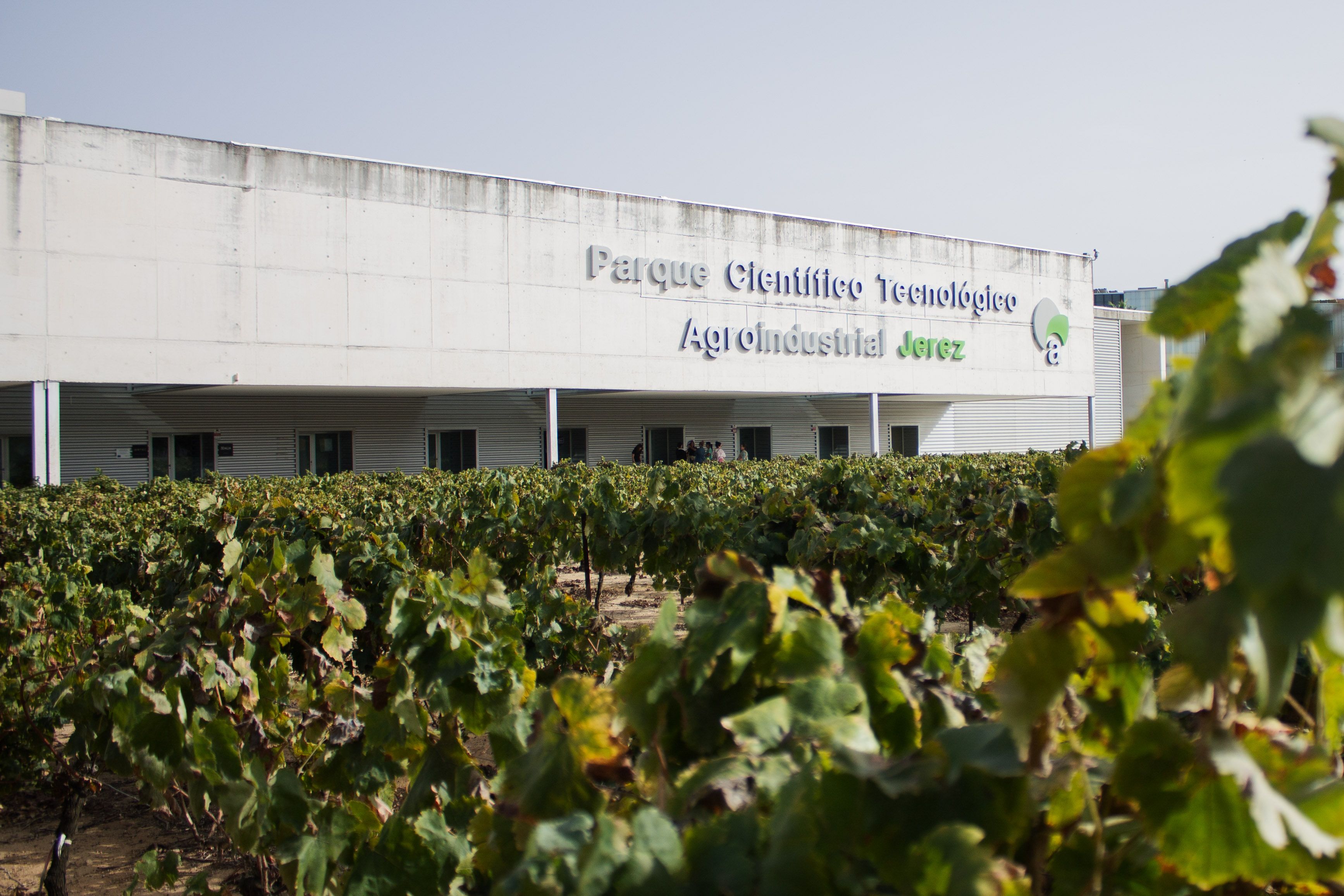 Vista reciente del edificio del PCTA de Jerez que iba a albergar el Centro Tecnológico del Vino.