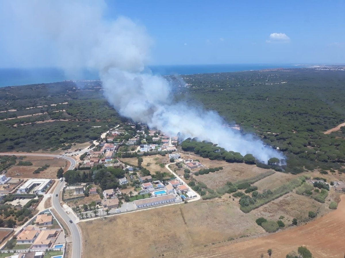 Incendio en el paraje de Roche, Conil. FOTO: INFOCA.