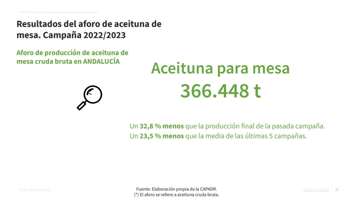 Aforo aceituna de mesa