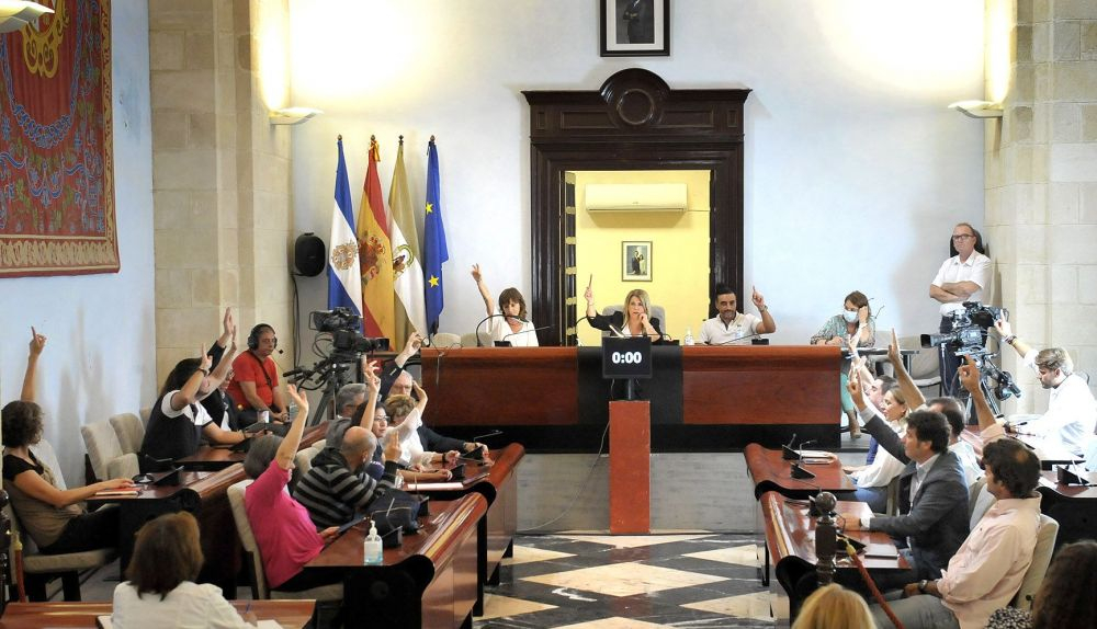 Alcaldesa   Pleno Extraordinario