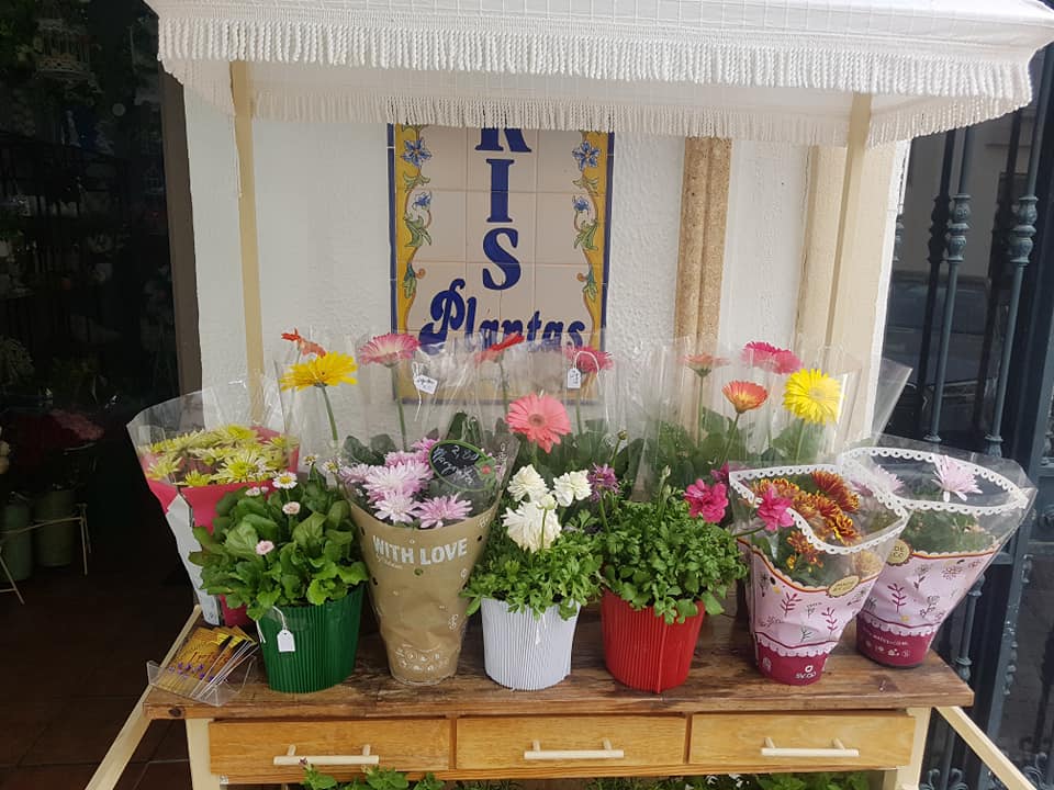Una imagen de archivo de la floristería Iris. FOTO: FLORISTERÍA IRIS. 