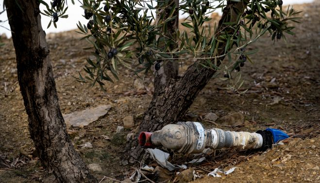 Alcaudete (Jaén) olivar de regadío. GREENPEACE