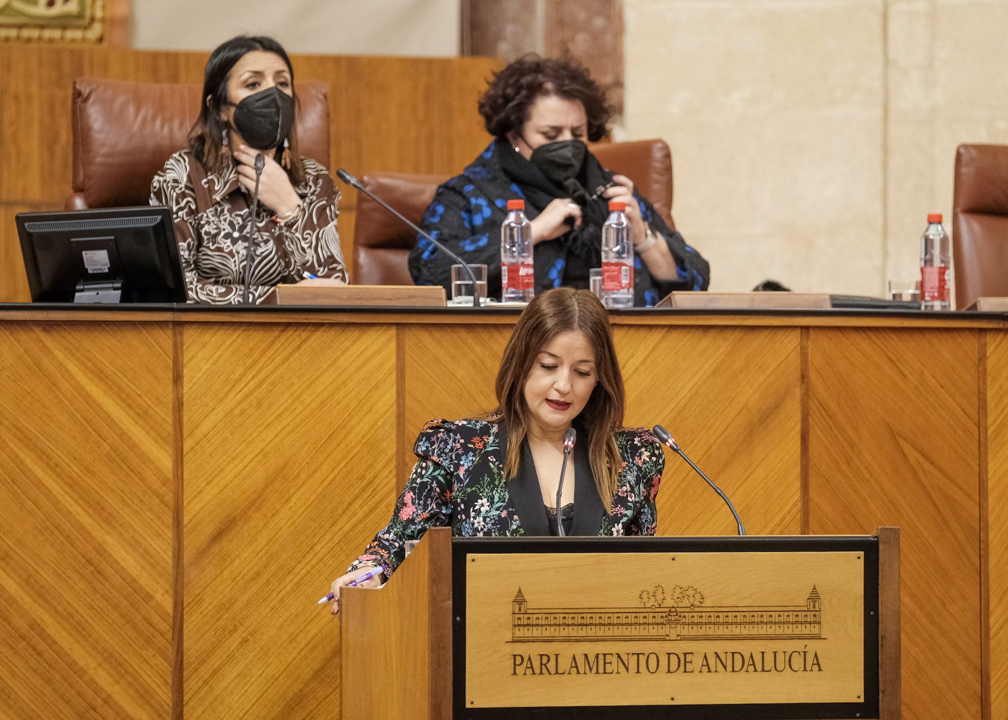 Verónica Pérez (formará parte del Consejo de Administración de Canal Sur) en una intervención parlamentaria con Teresa Jiménez de fondo.