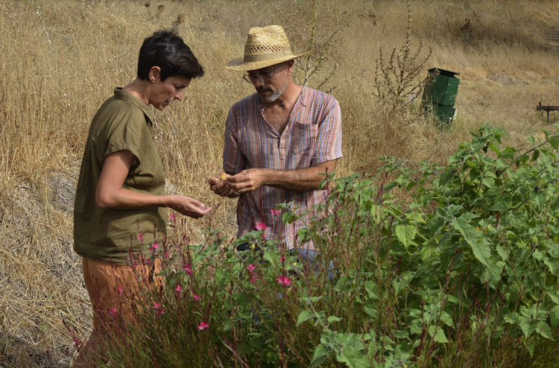 Andrew Zionts Abrams, bioconstructor entrevistado para el proyecto 'Playa futura'.
