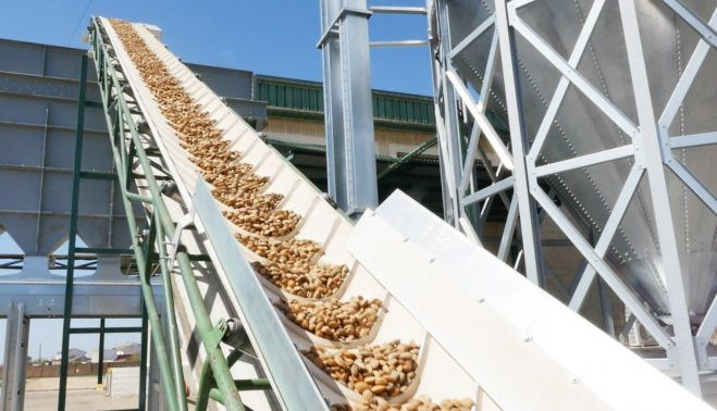 Dcoop está apostando por la búsqueda de valor añadido de la almendra de sus socios. DCOOP