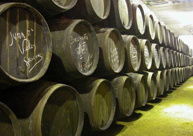 Bodegas González Palacios, de Lebrija.