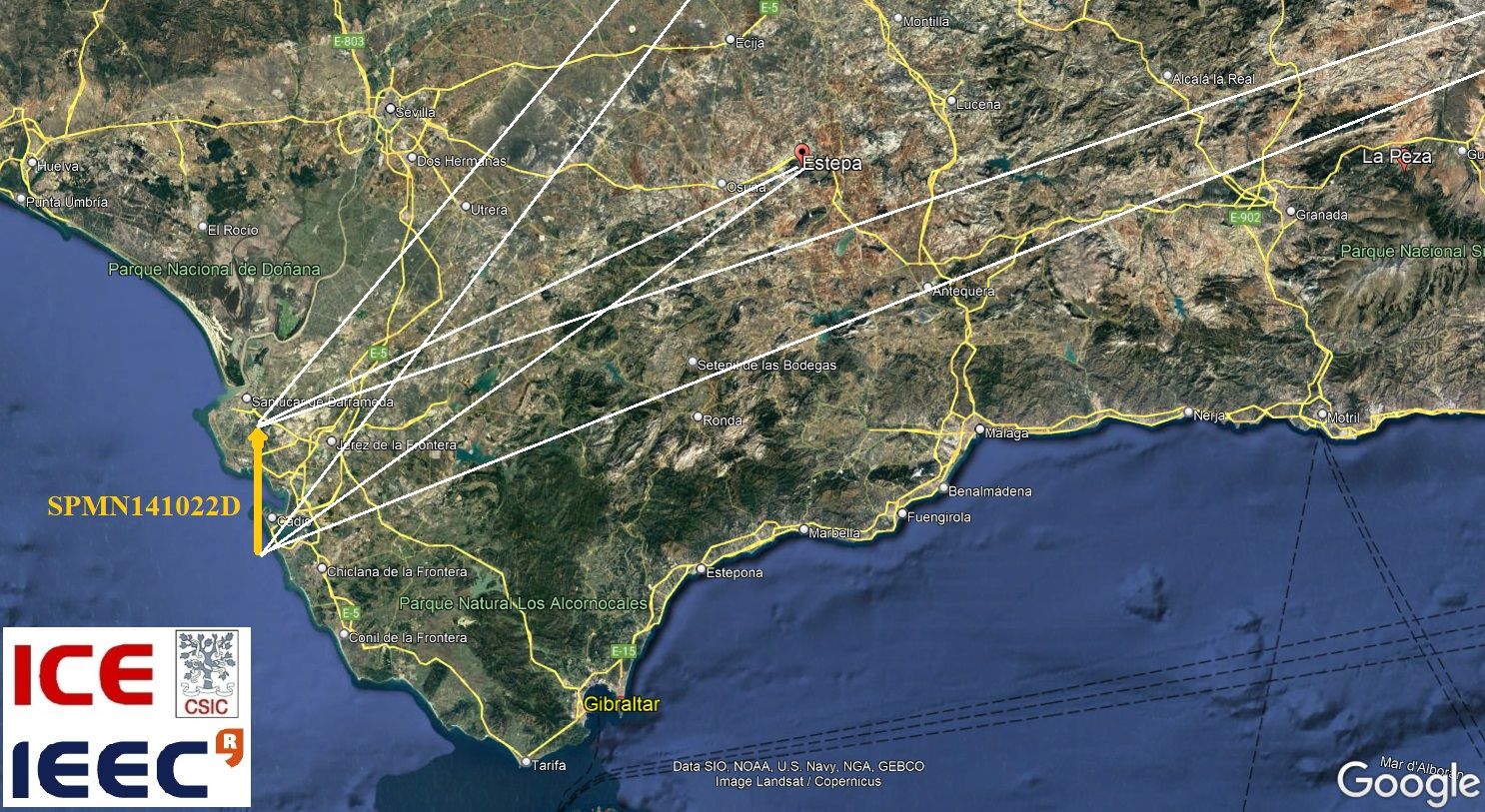 Mapa de la zona donde se produjo la caída de los restos del meteorito, entre Sanlúcar, Jerez y la Base de Rota. (SPMN) @RedSpmn