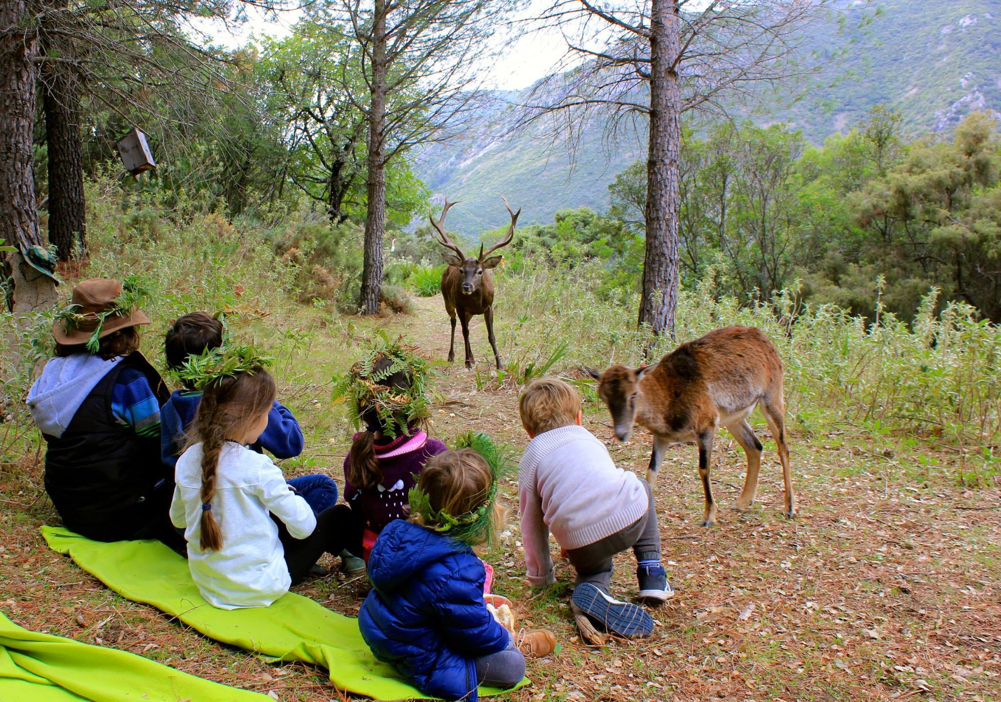 Eco Reserva de Ojén.