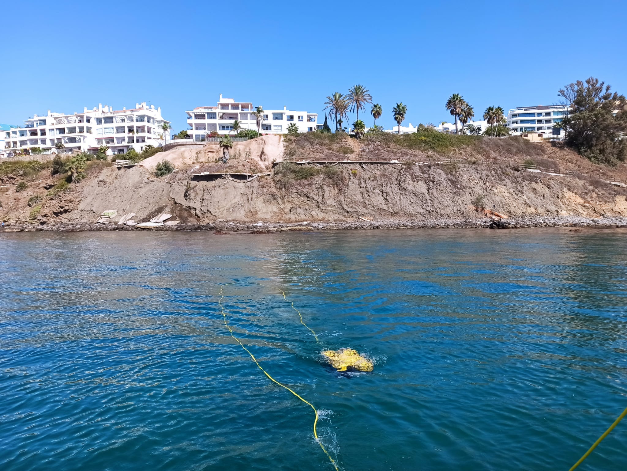 Lugar donde ha sido vista la medusa.