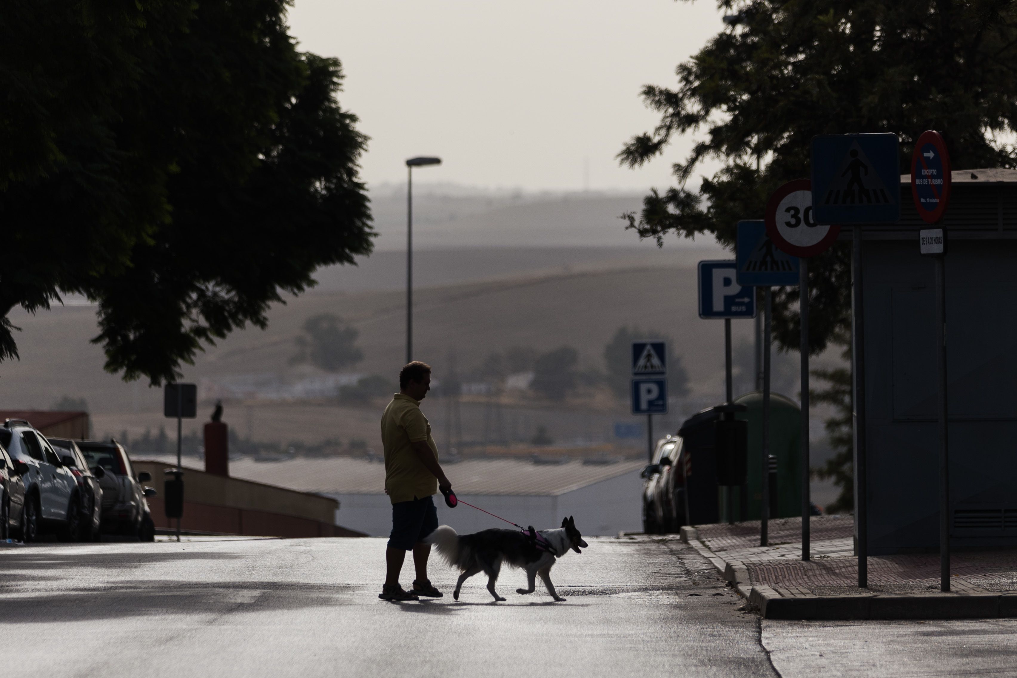 La calima desaparecerá con las lluvias anunciadas ya por Aemet.
