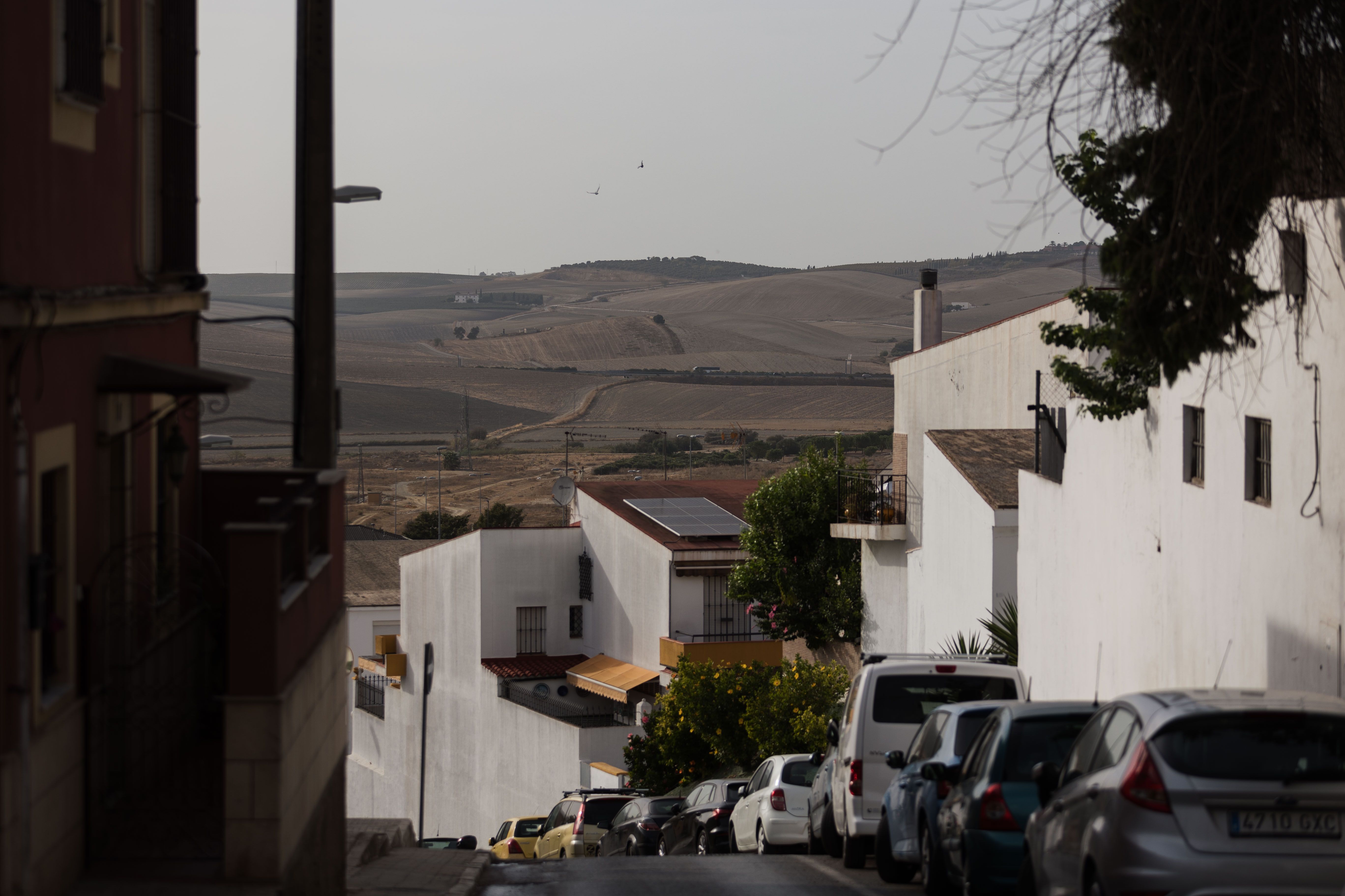 El fenómeno de la calima en una imagen reciente. 