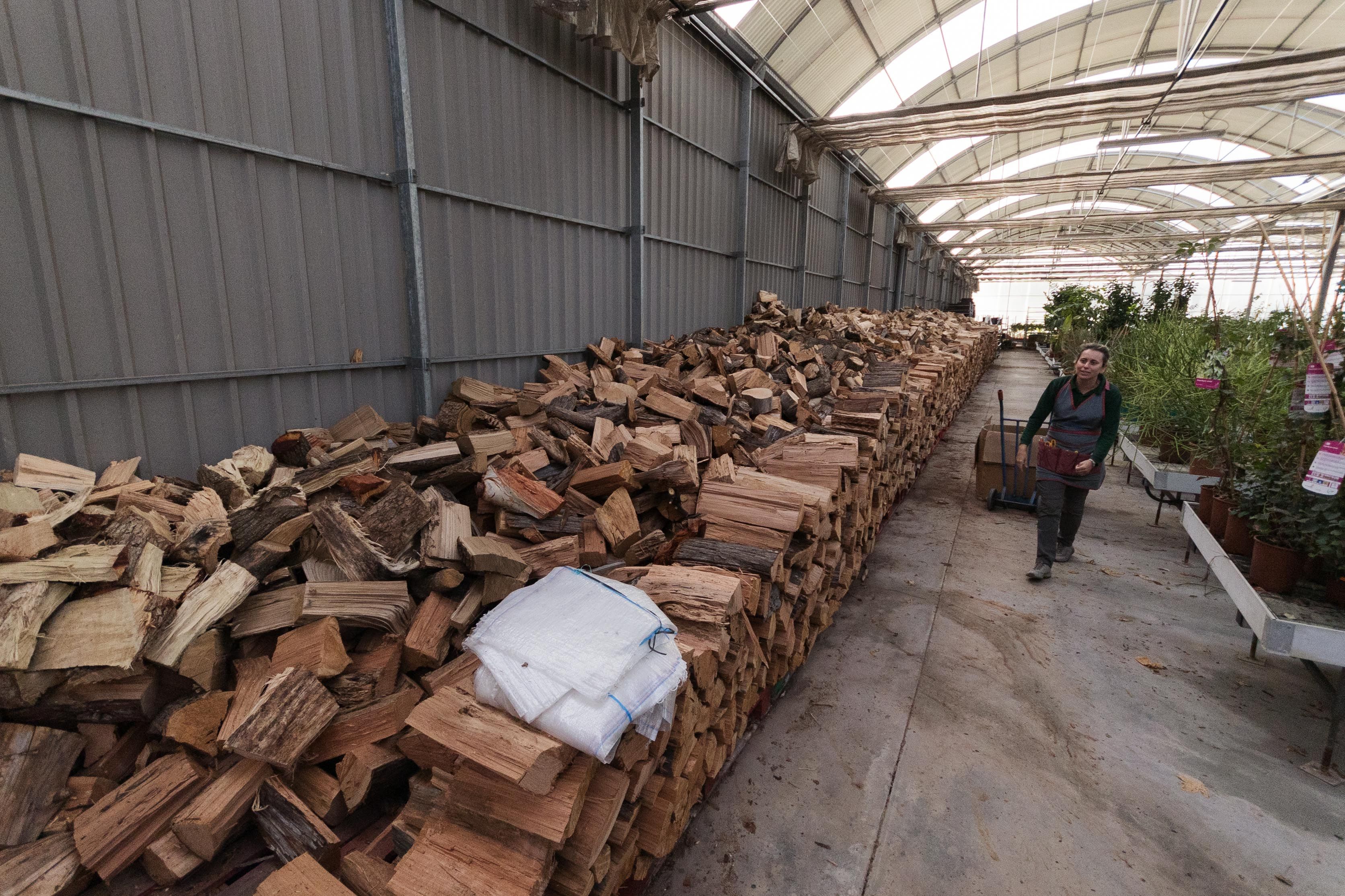 VIVEROS HERMOSIN LEÑA 1