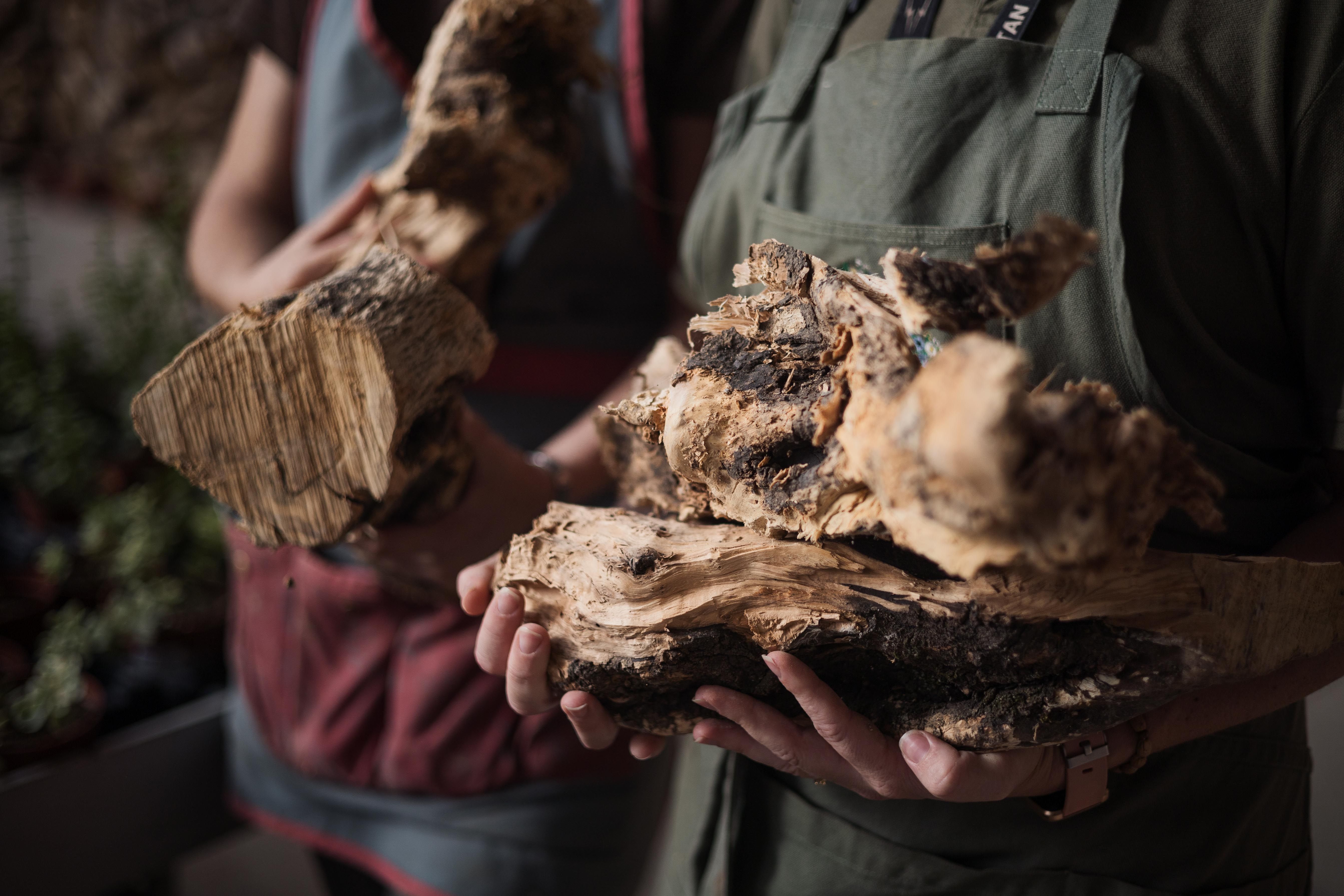 Trozos de leña en una imagen de archivo. 