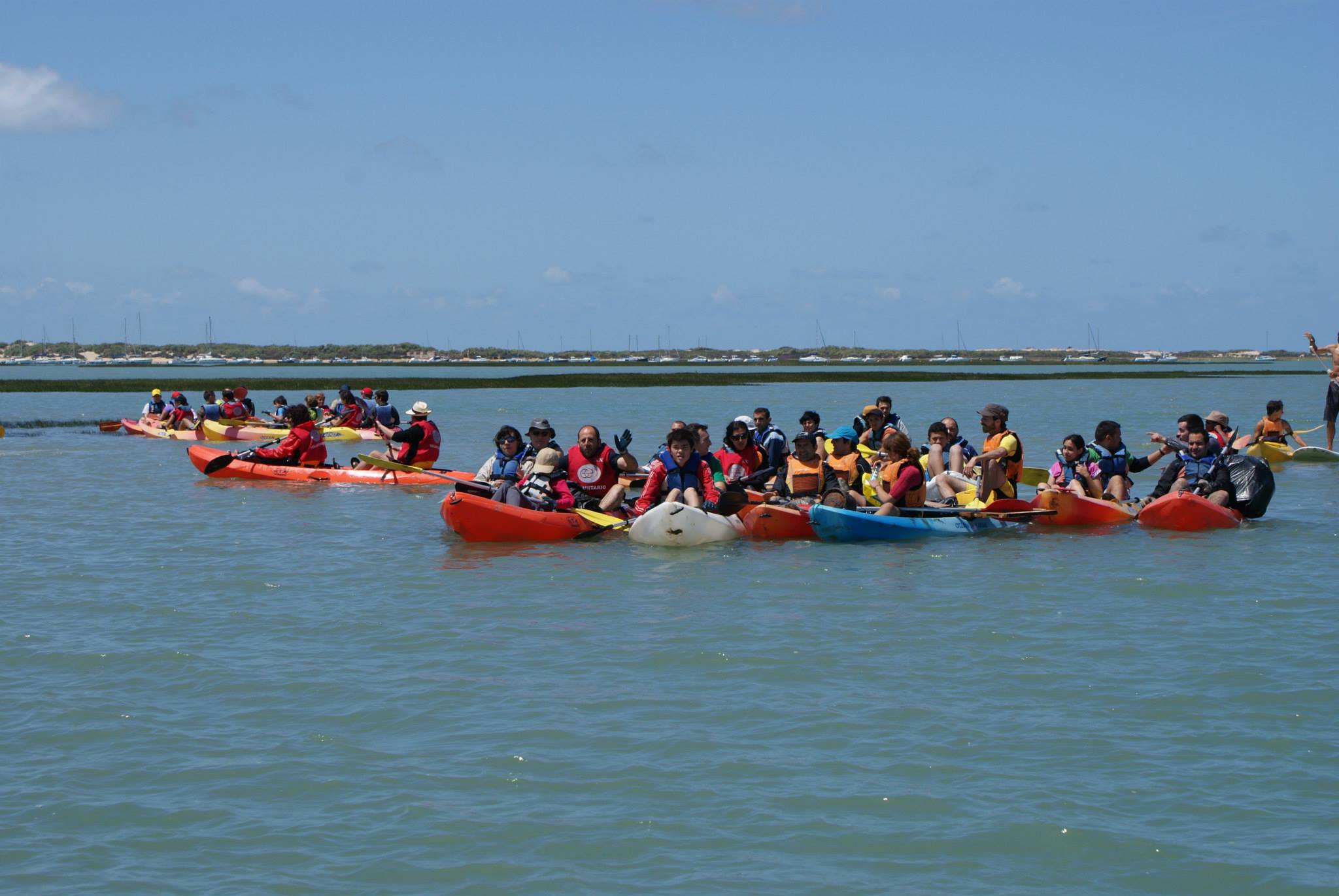 Un grupo de voluntarios participa en la limpieza de las marismas en kayak en Sancti Petri.