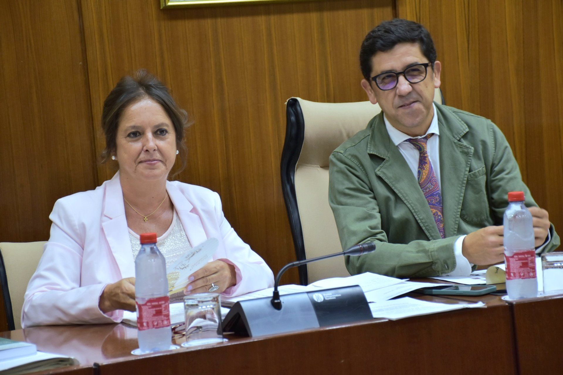 La consejera Catalina García, responsable del SAS, en comisión parlamentaria este miércoles.