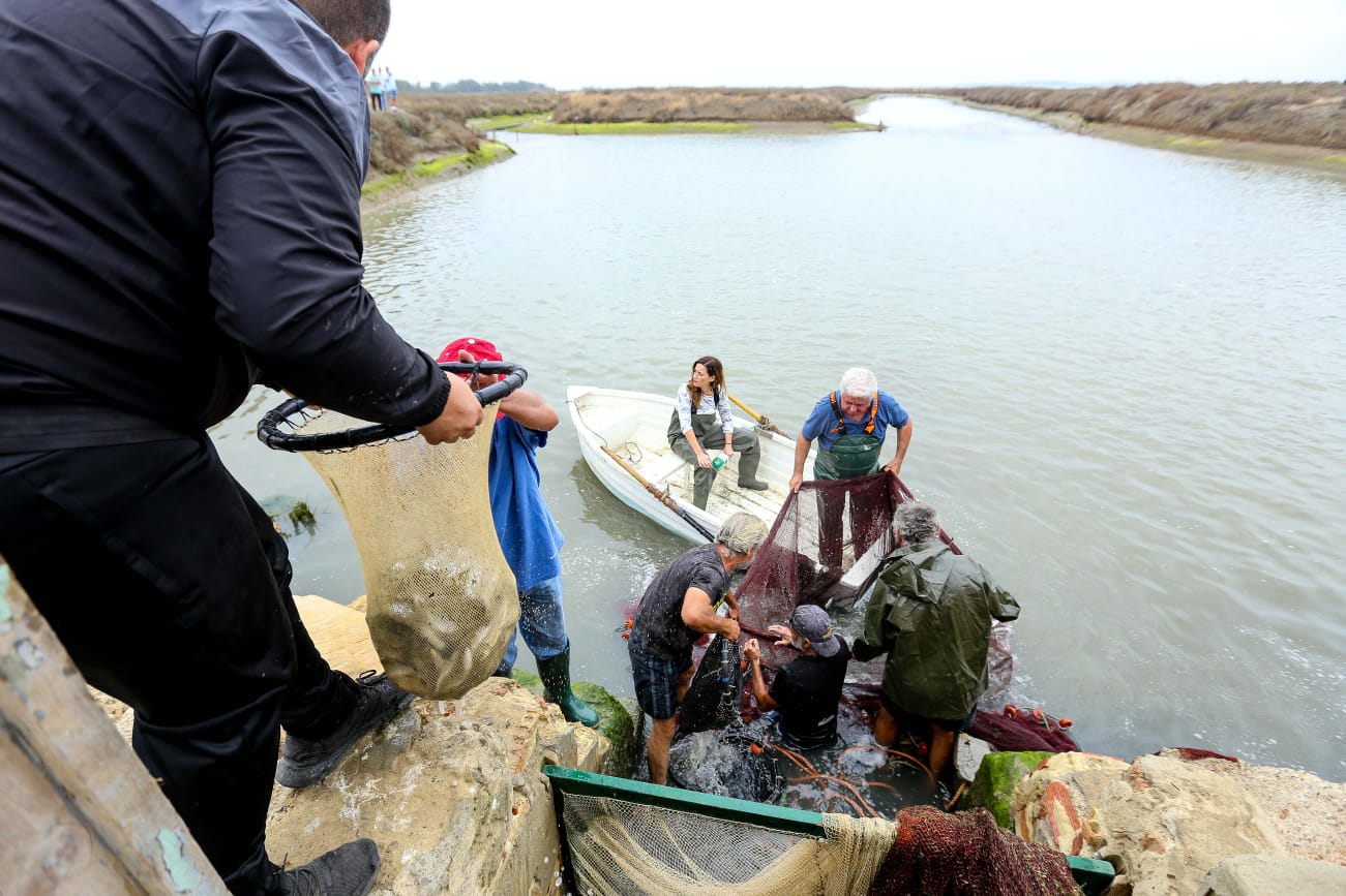 Un momento del despesque.