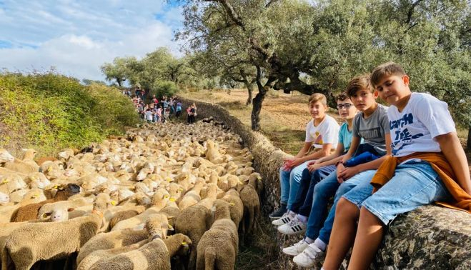 trashumancia huelva 2