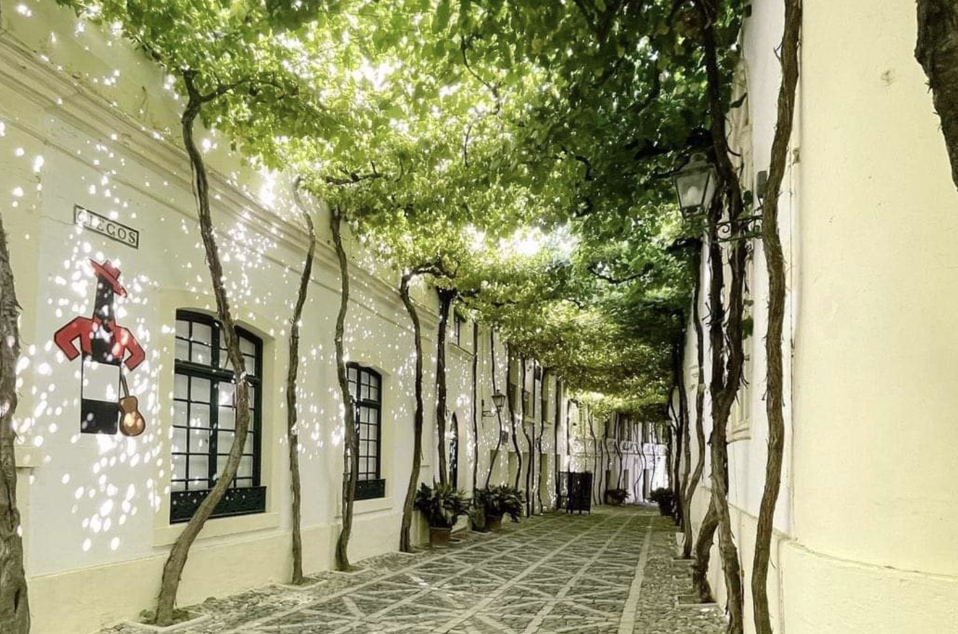 Una calle de Jerez, entre las 15 del mundo por las que hay que pasear al menos una vez en la vida.