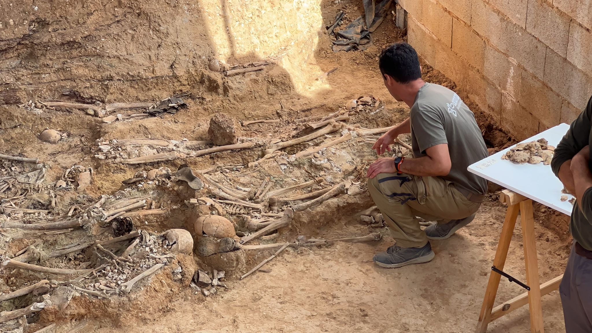 Varios cuerpos exhumados de la fosa común de Pico Reja, en Sevilla.