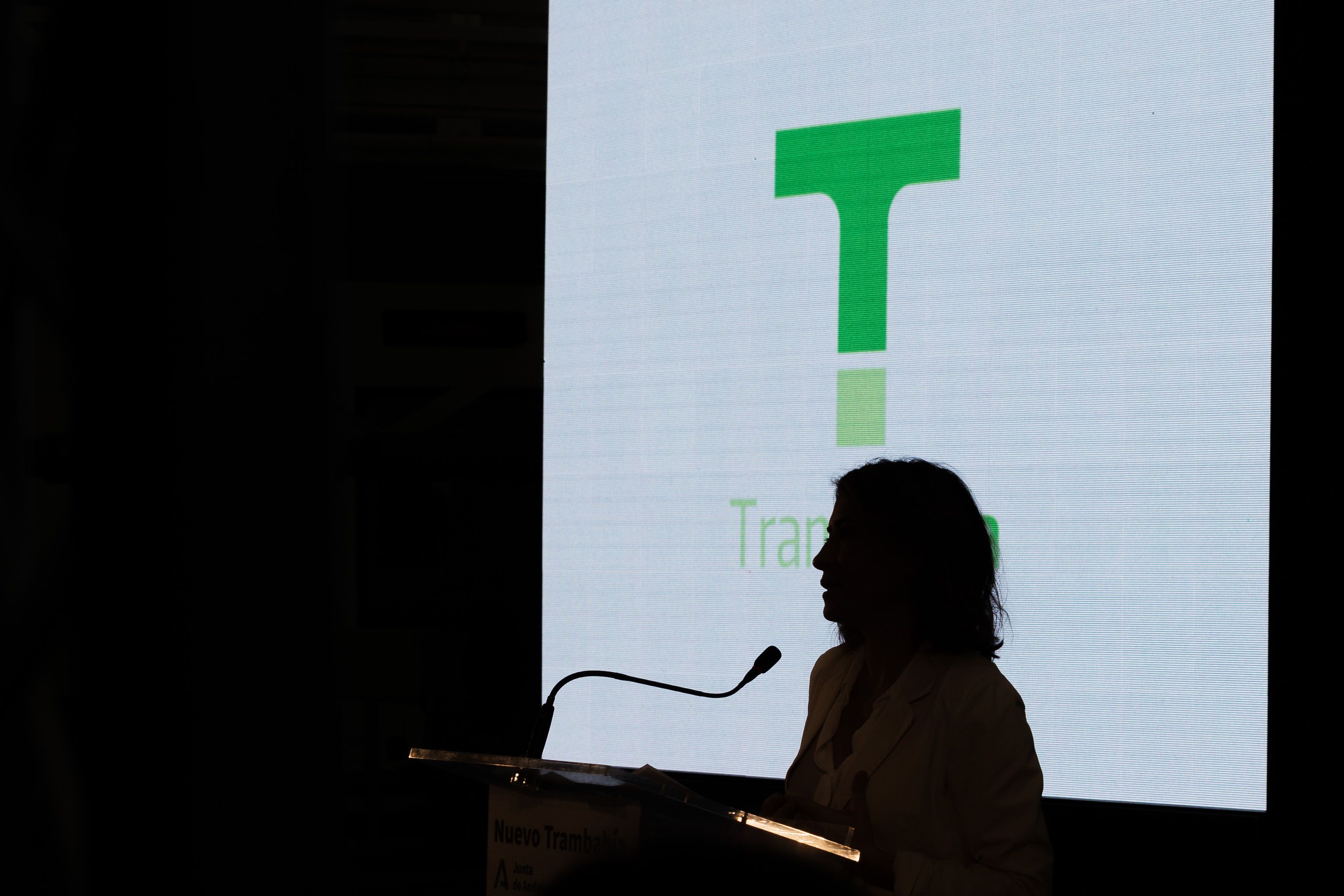 La Ministra de Transporte, Raquel Sánchez  en un momento de la intervención