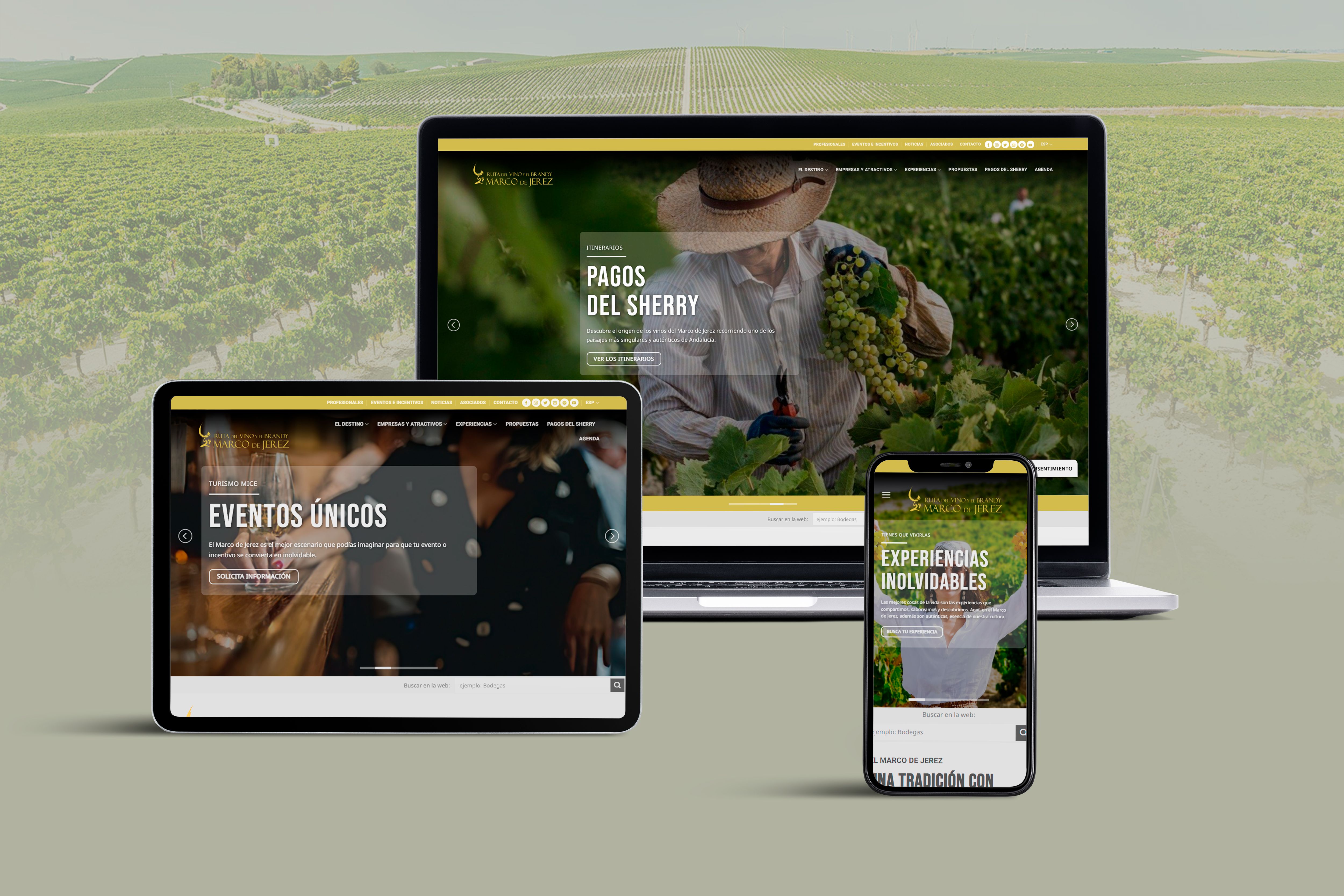 Ejemplo gráfico de la nueva web.