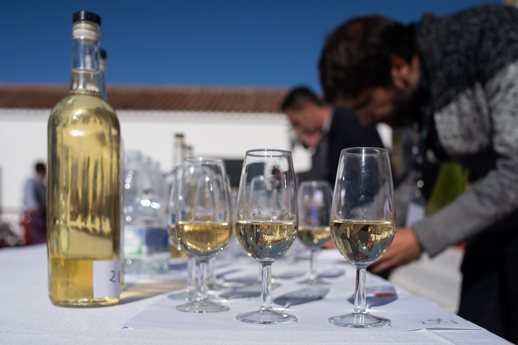 Concurso de Mosto de Trebujena, en una edición anterior.