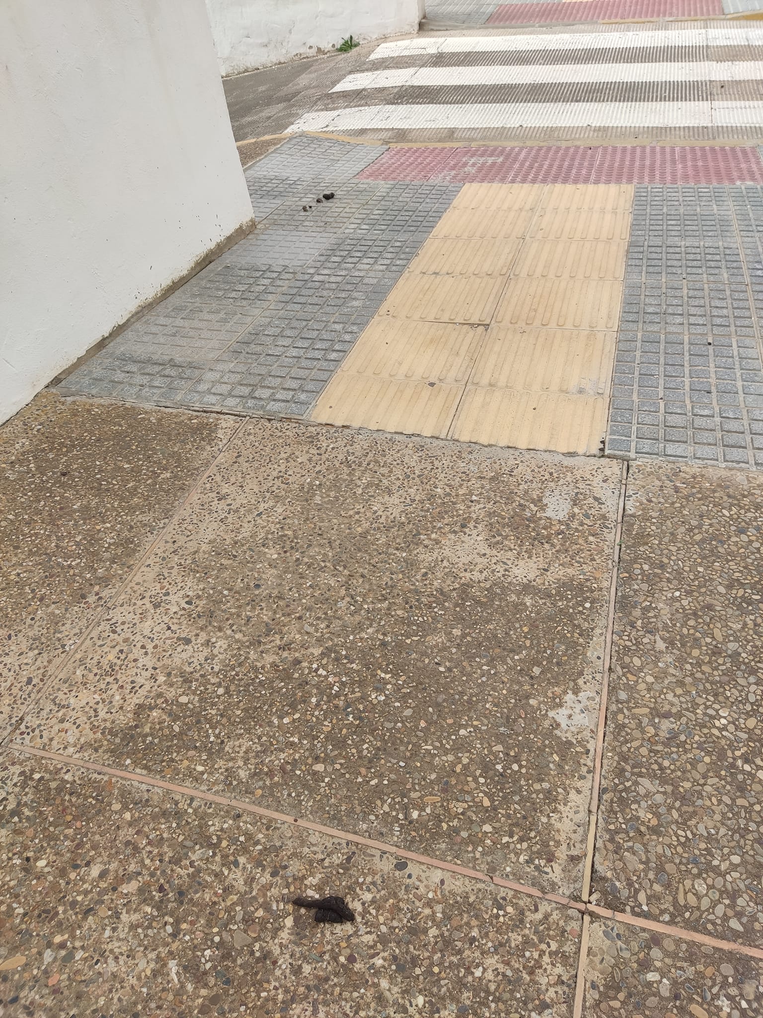 Estado de una calle cercana a la vivienda de la vecina.