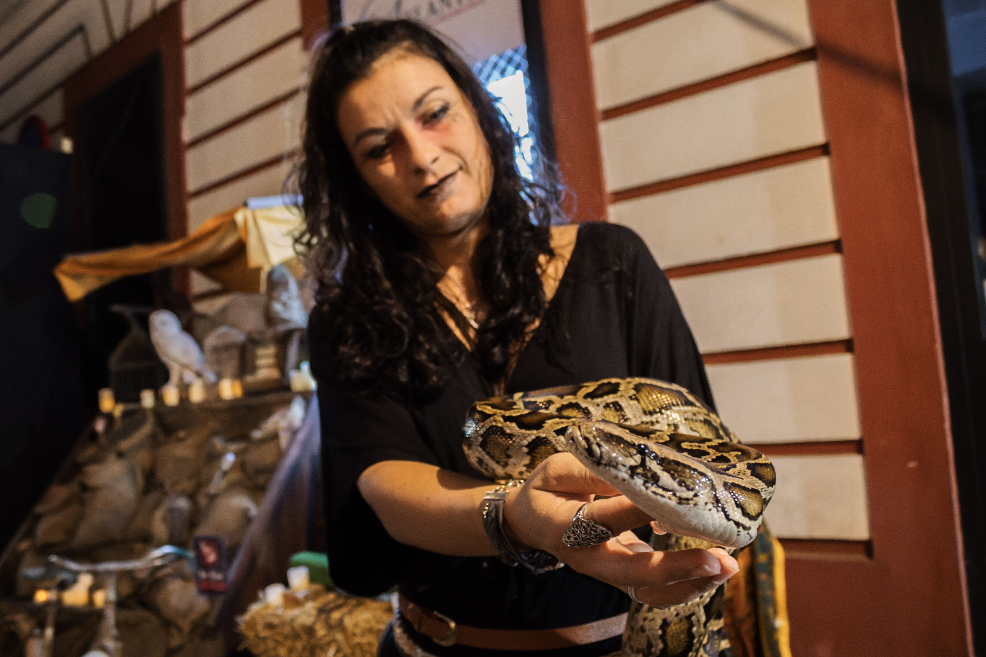 Noche de Halloween en San Fernando