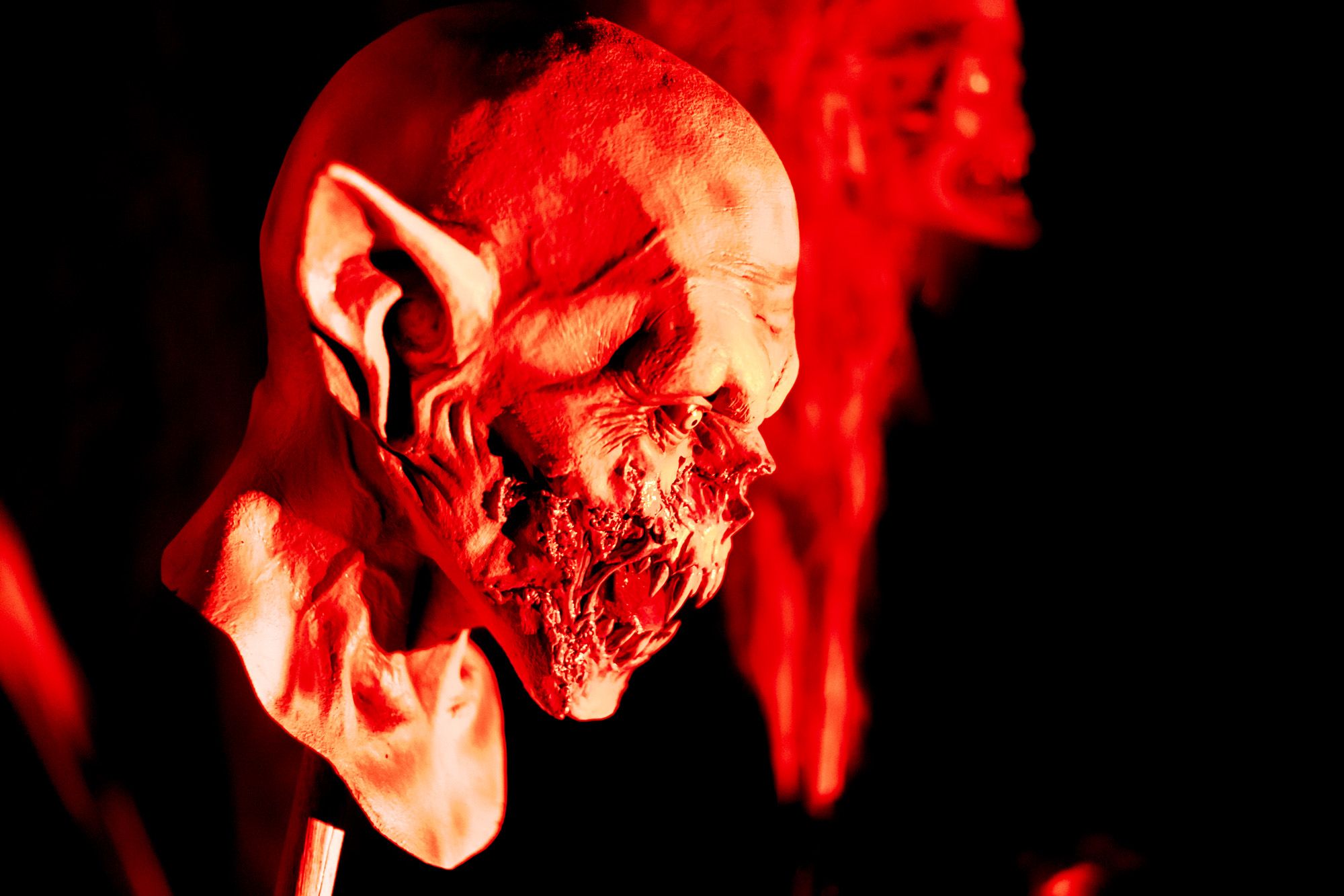 Halloween y Tosantos en Cádiz 4 Halloween y Tosantos en Cádiz 4