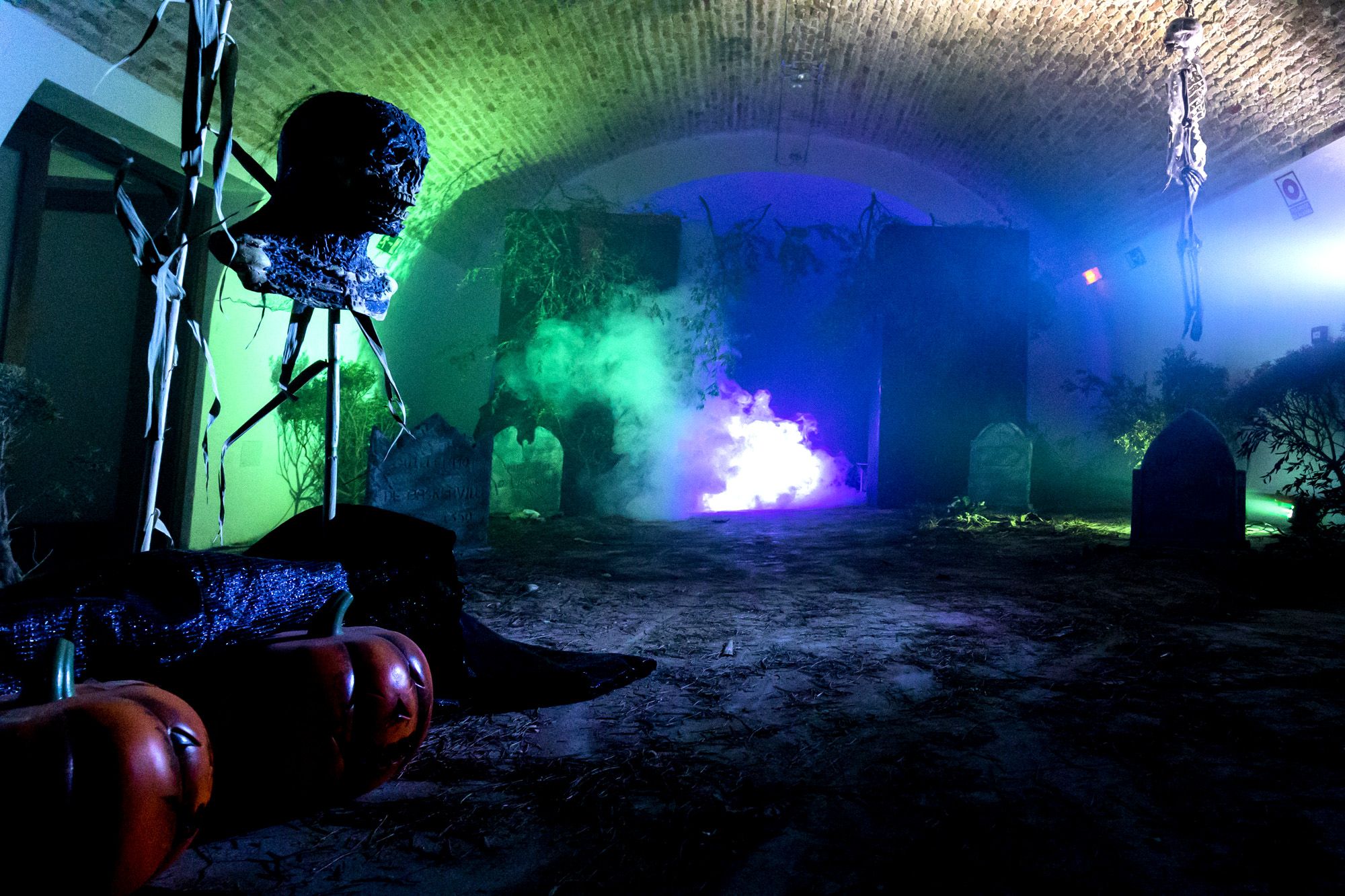 Halloween y Tosantos en Cádiz 14 Halloween y Tosantos en Cádiz 14