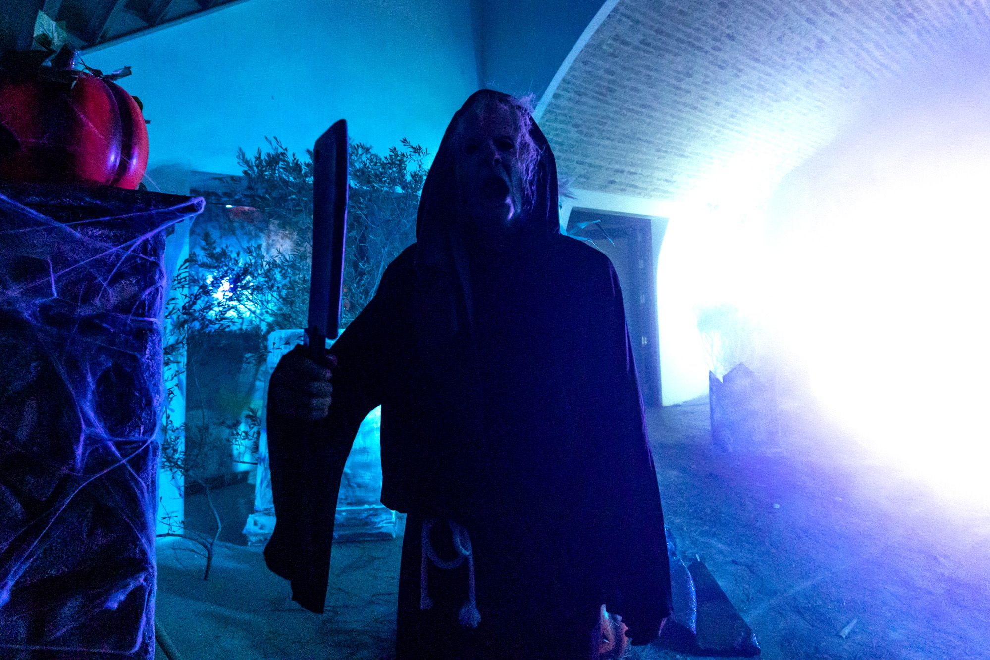 Halloween y Tosantos en Cádiz 19 Halloween y Tosantos en Cádiz 19