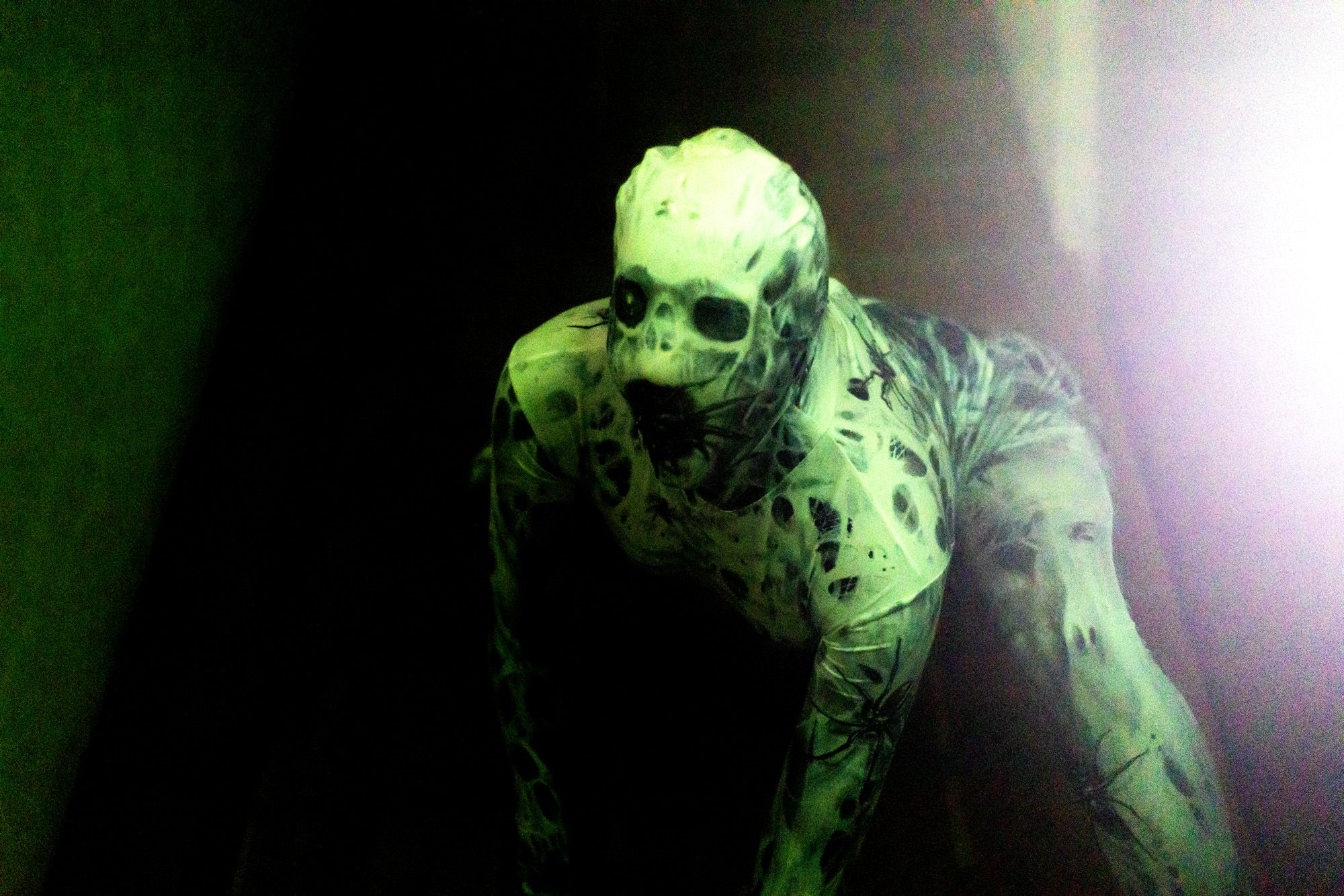 Una imagen de Halloween en una imagen de archivo. 