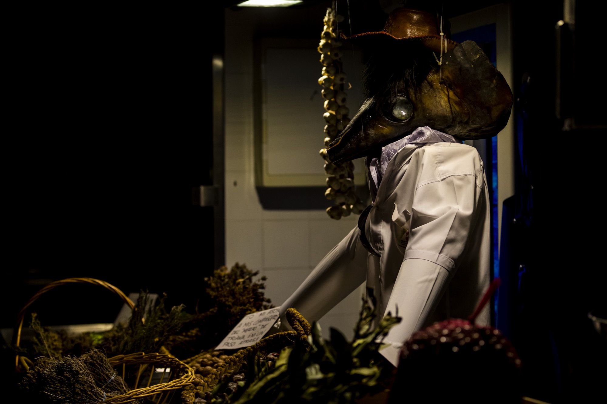 Halloween y Tosantos en Cádiz 29 Halloween y Tosantos en Cádiz 29