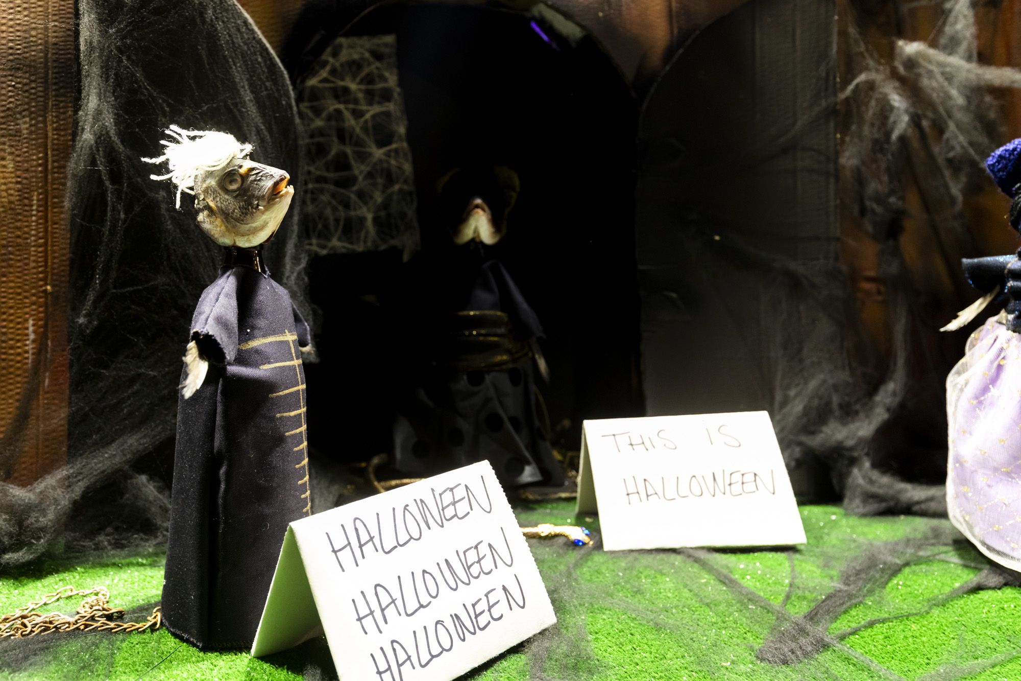 Halloween y Tosantos en Cádiz 31 Halloween y Tosantos en Cádiz 31