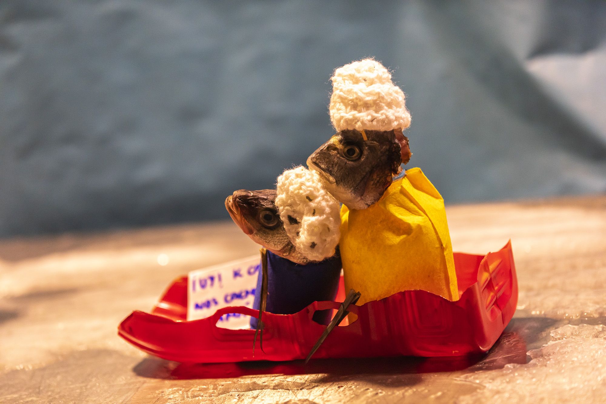 Halloween y Tosantos en Cádiz 46 Halloween y Tosantos en Cádiz 46