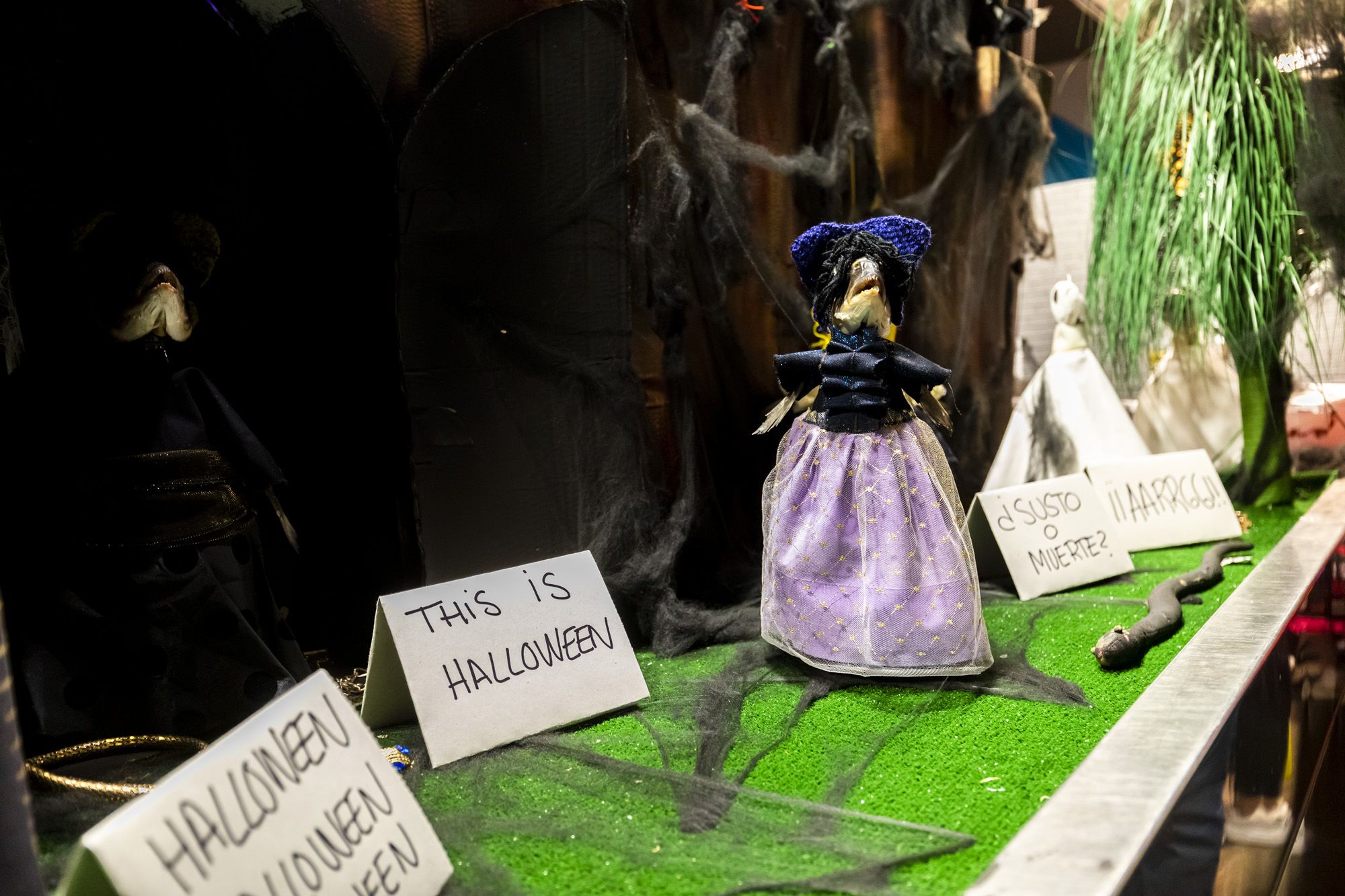 Halloween y Tosantos en Cádiz 50 Halloween y Tosantos en Cádiz 50